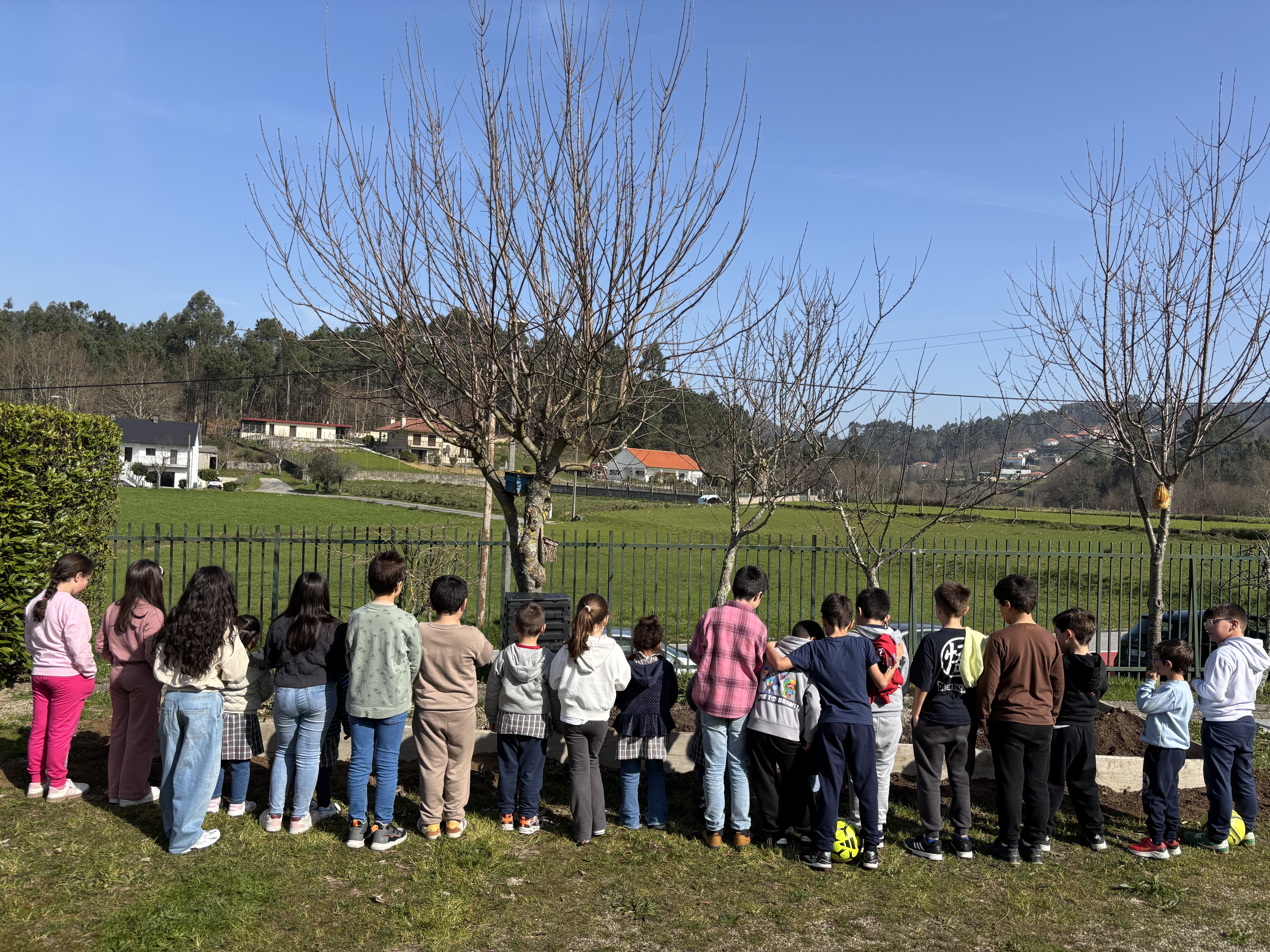 Observação e partilha de ideias para a divisão. 
Planeamento das sementes.
