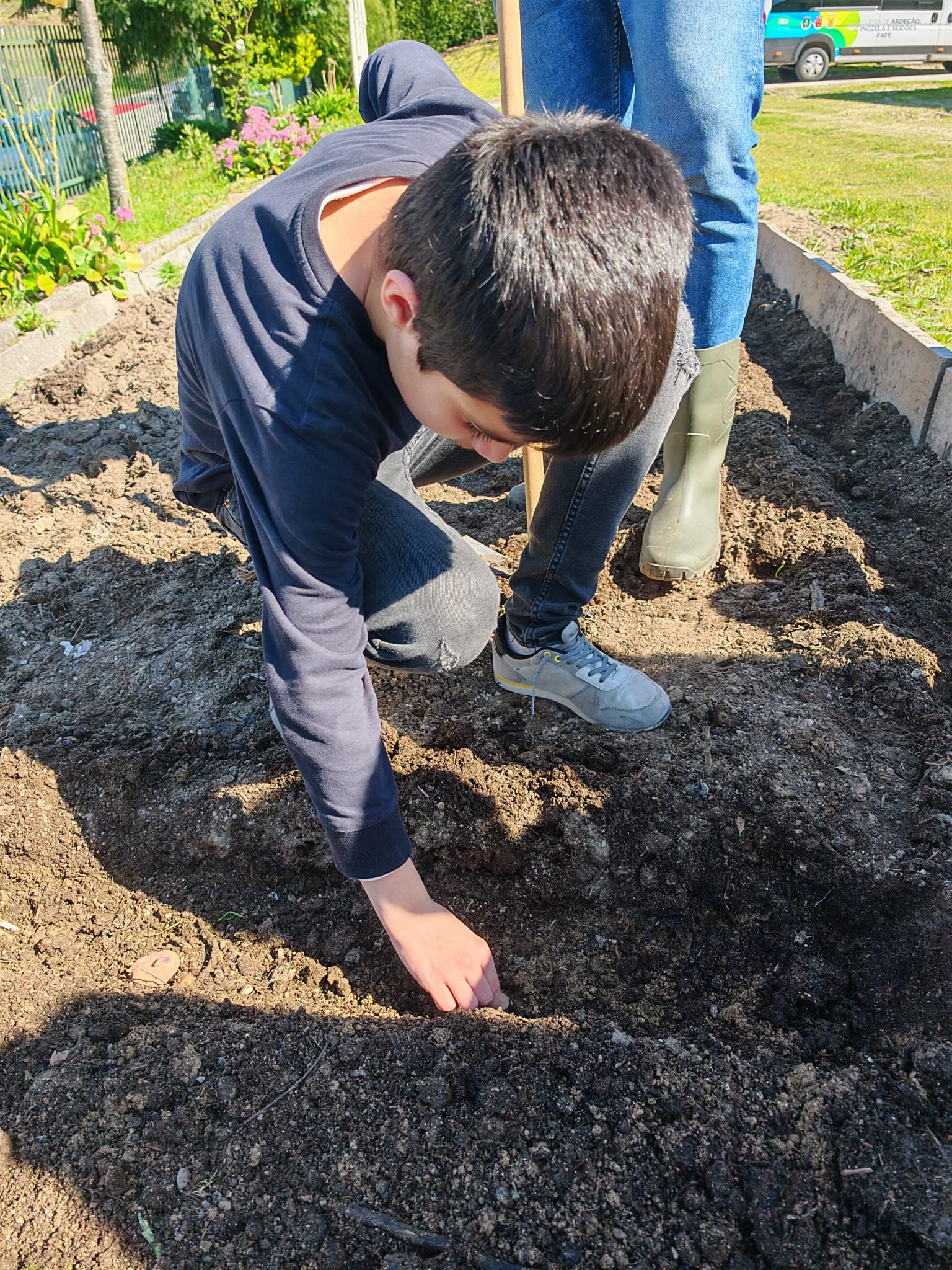 Plantação de batatas.