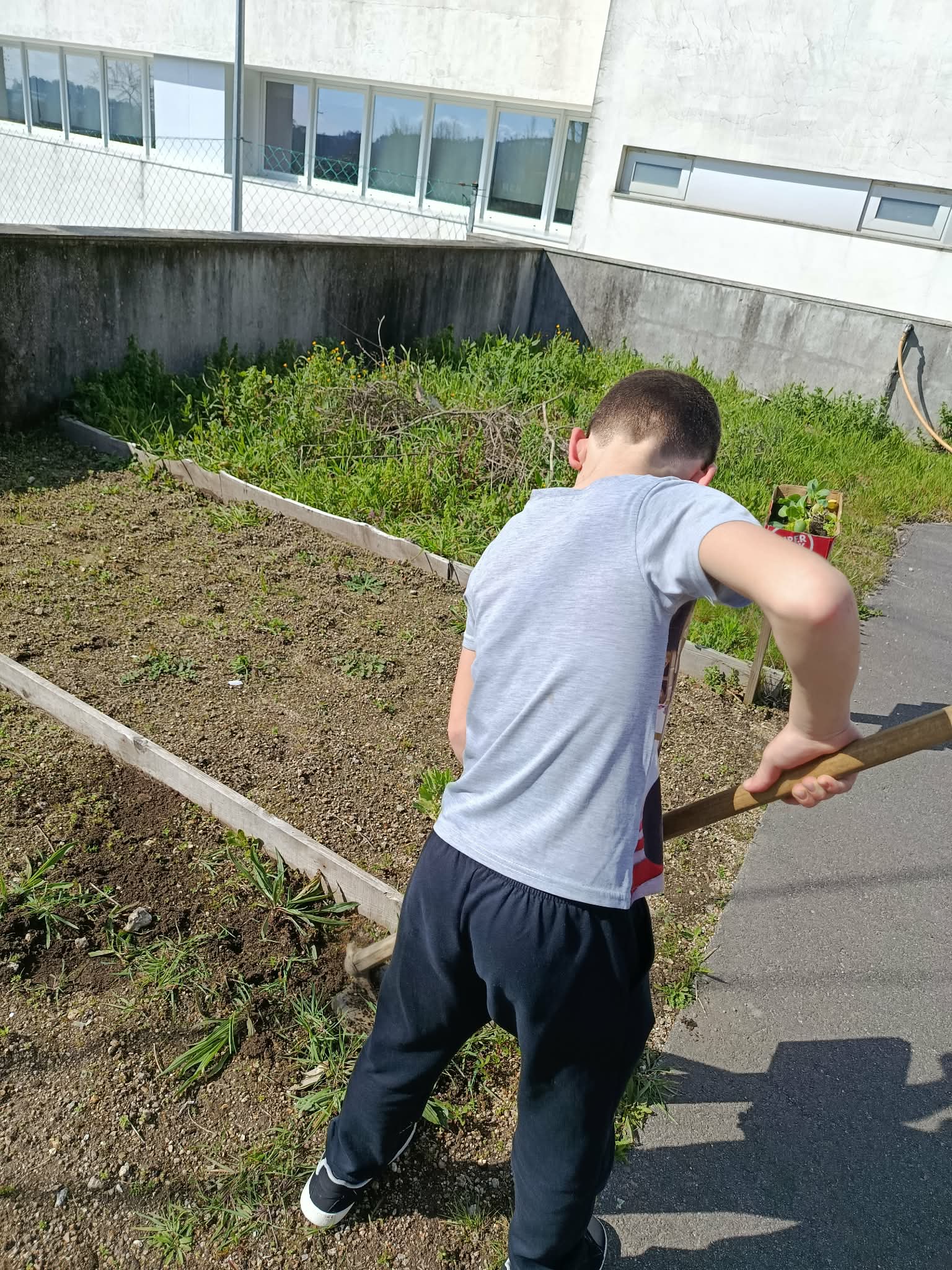 Preparação da terra para dar início à cultivação.