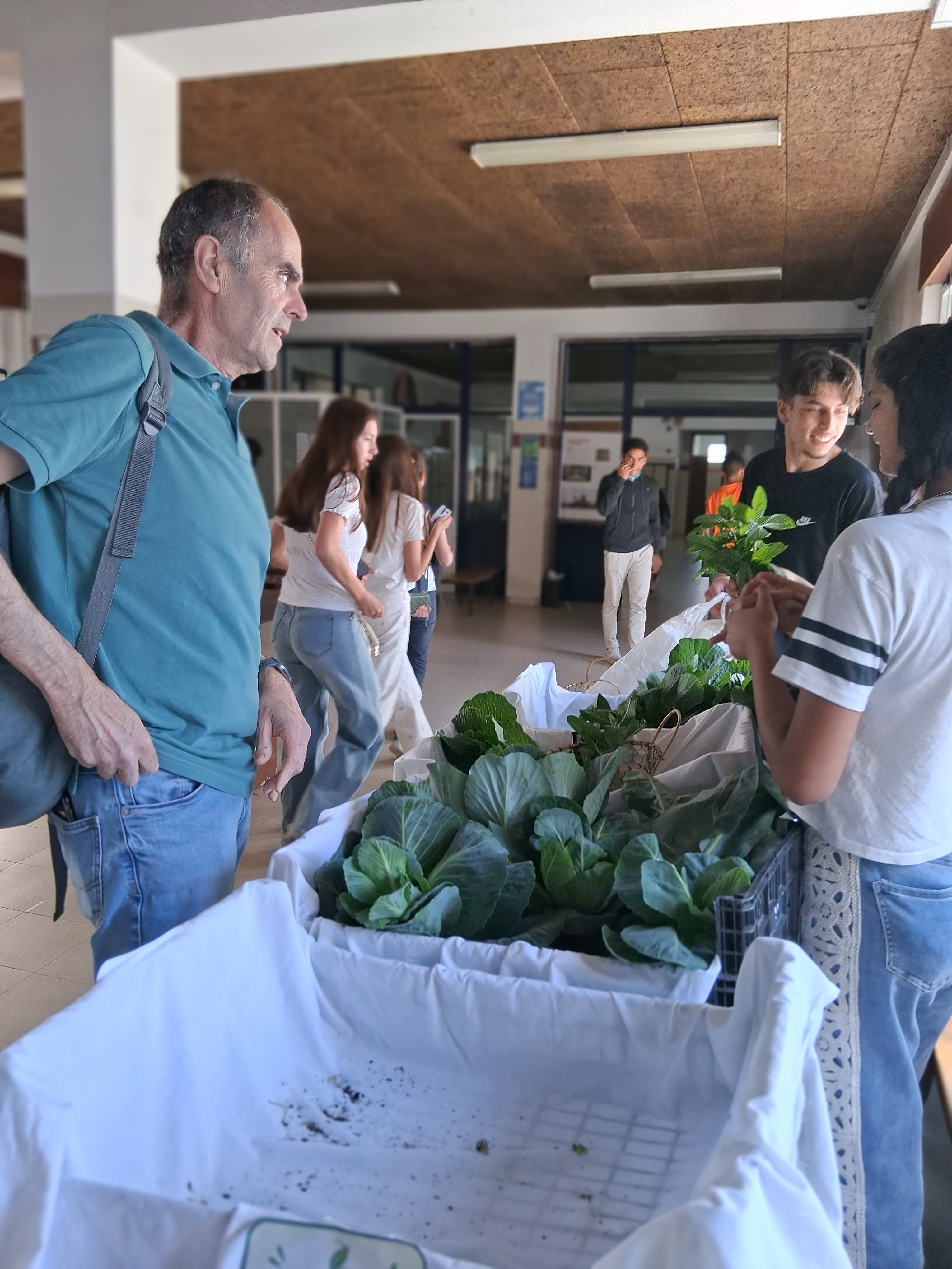 Feira de venda dos vegetais da Horta