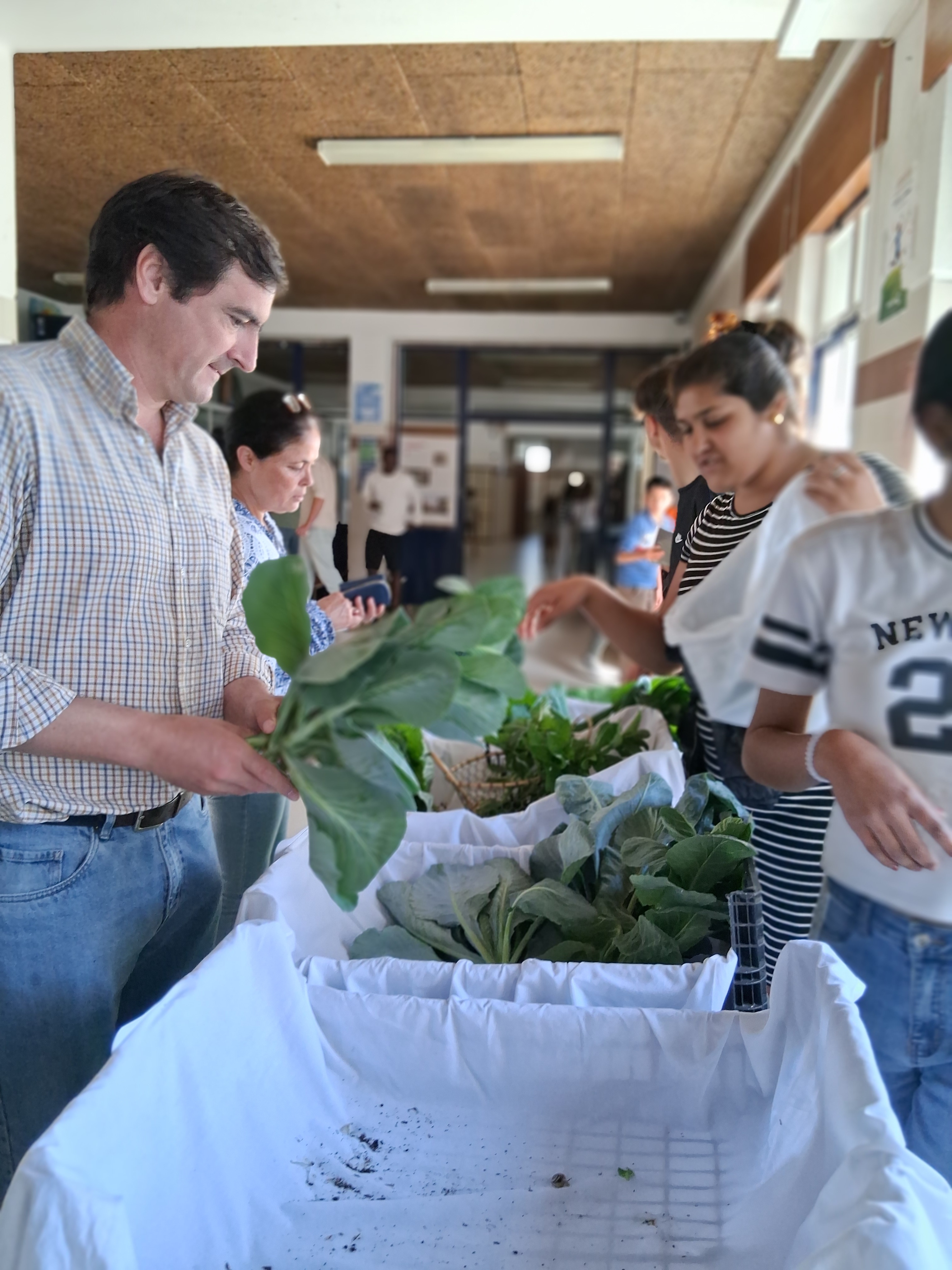 Feira de venda dos vegetais da Horta
