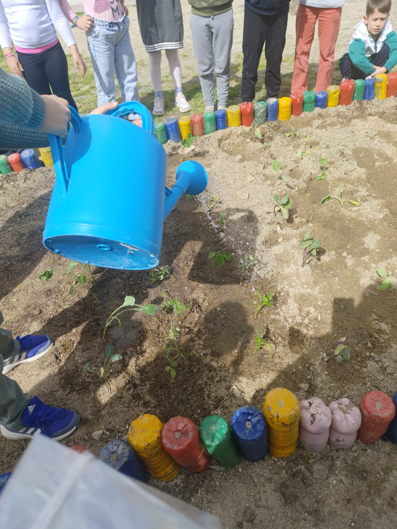 Regadio das plantas.