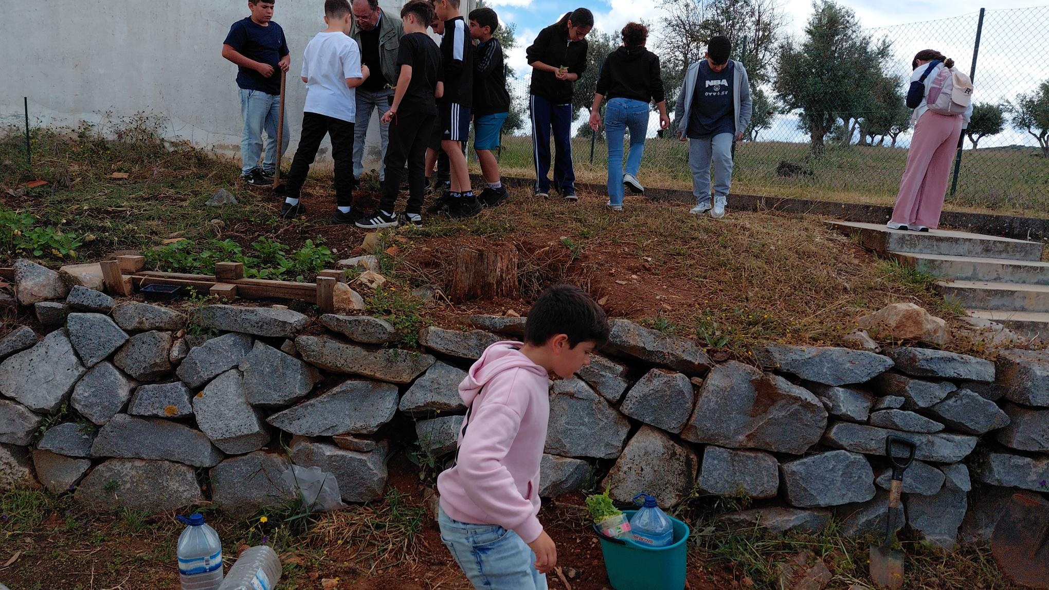 Visitantes da Nossa horta