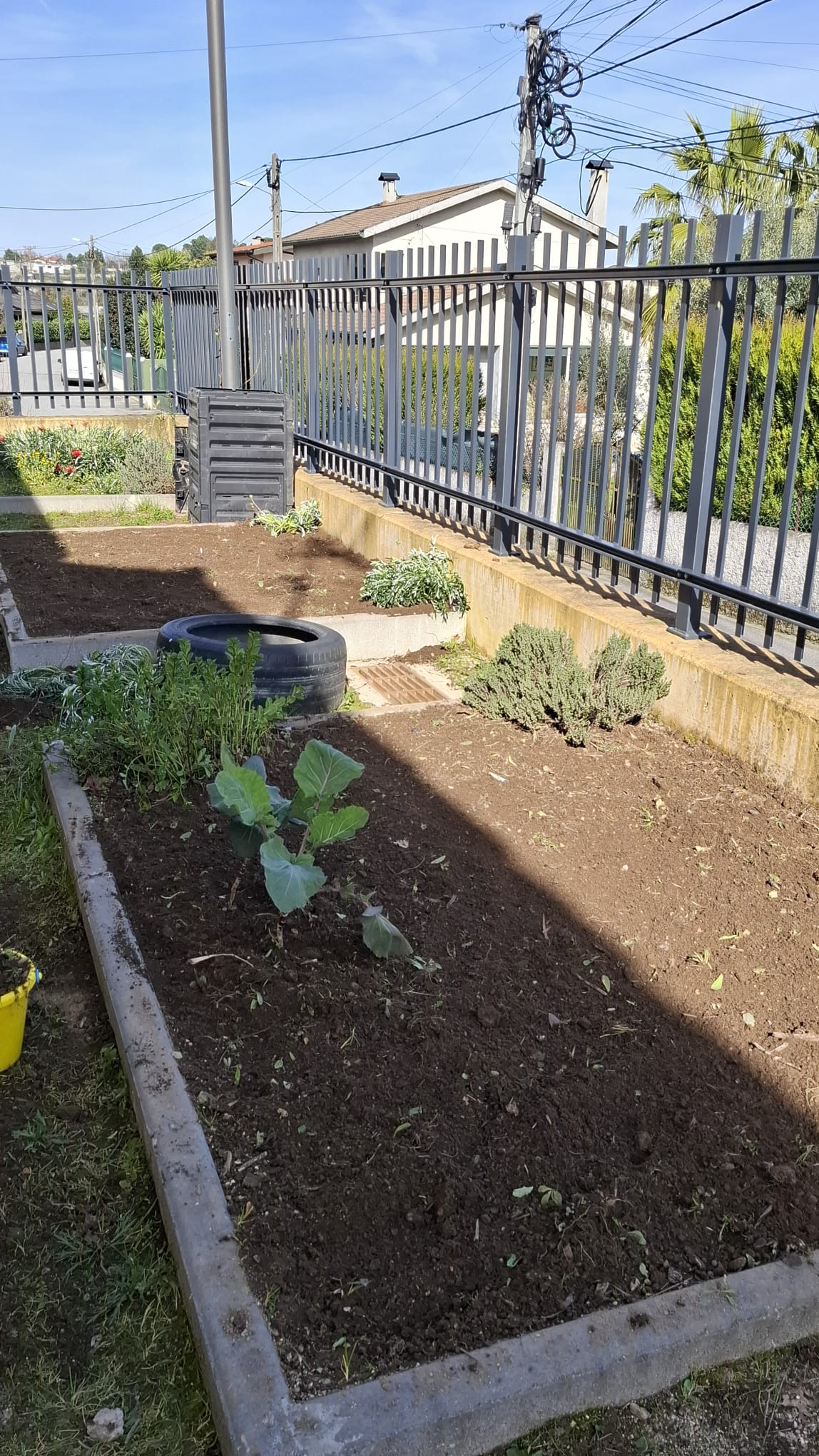 Preparação do Terreno