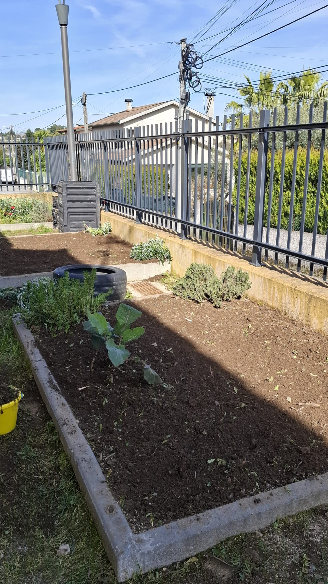 Preparação do Terreno