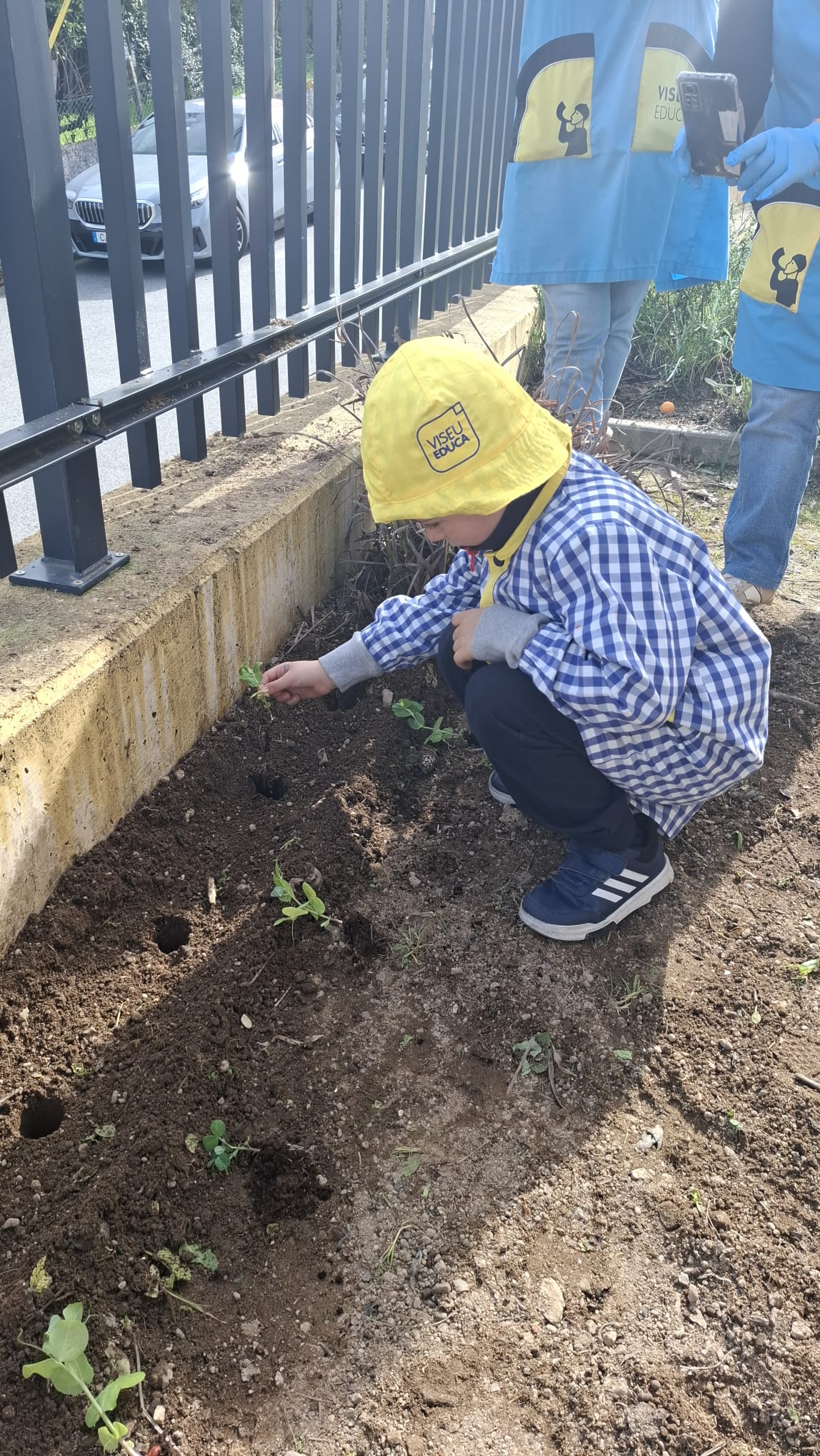 Sementeira e Plantações