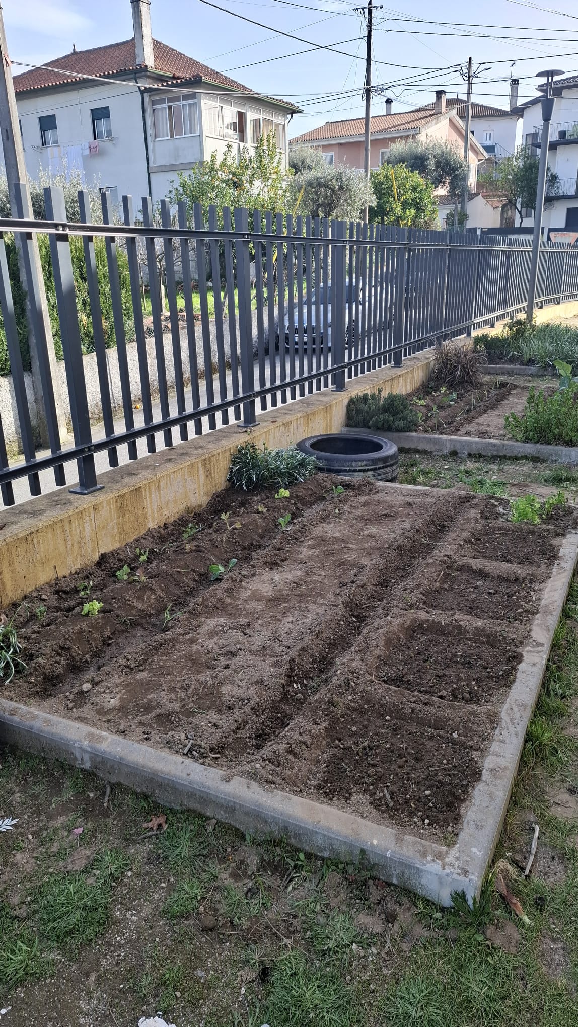 Sementeira e Plantações