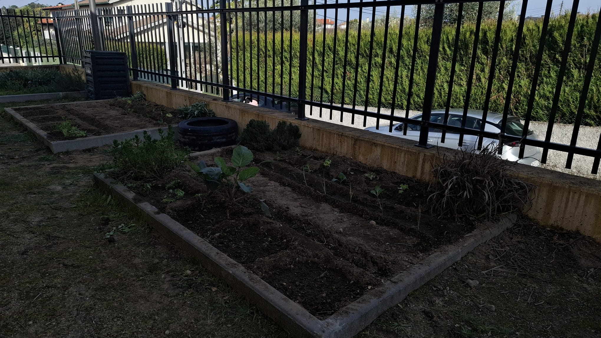 Sementeira e Plantações