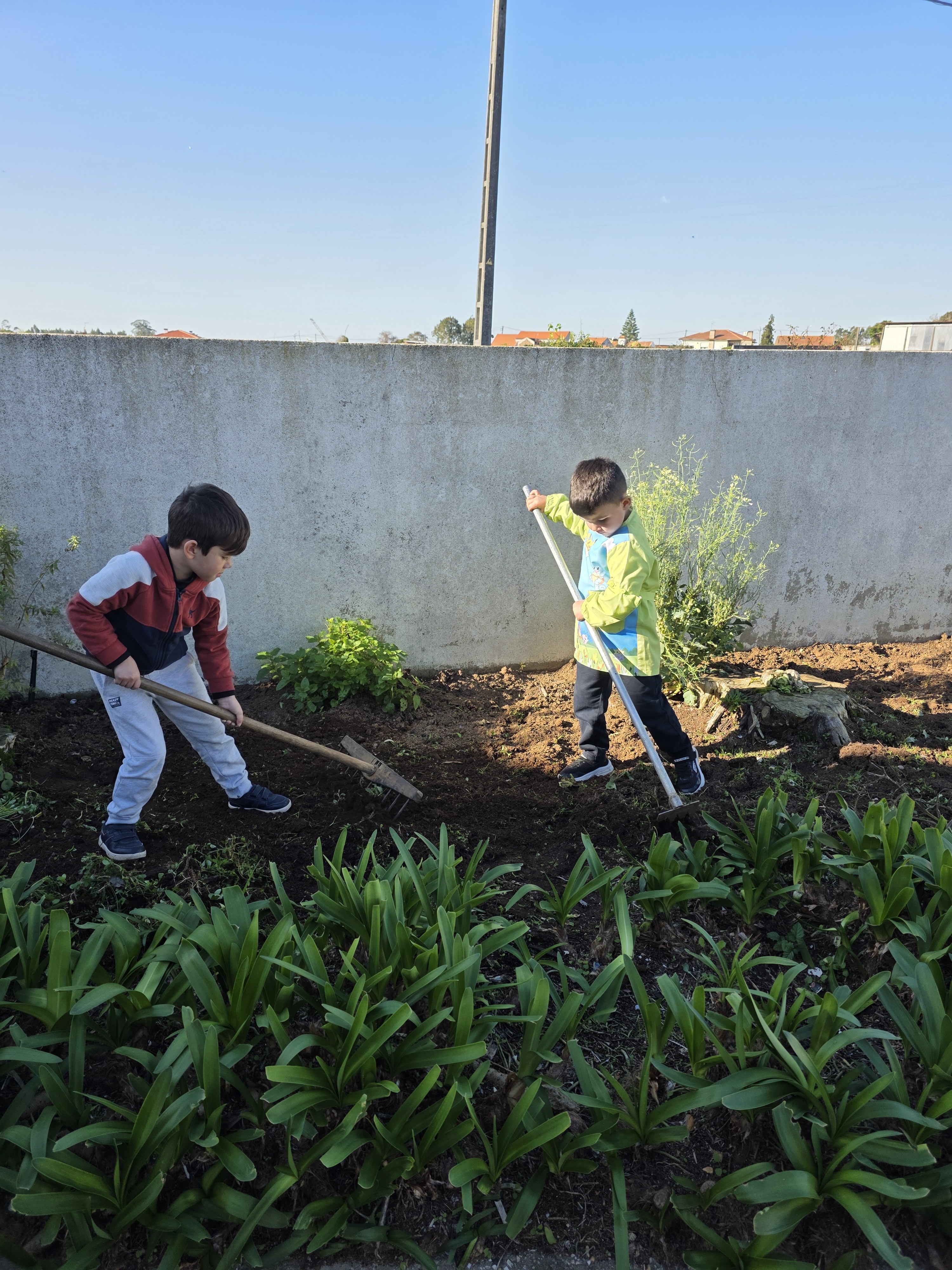 Preparação do terreno em outubro.