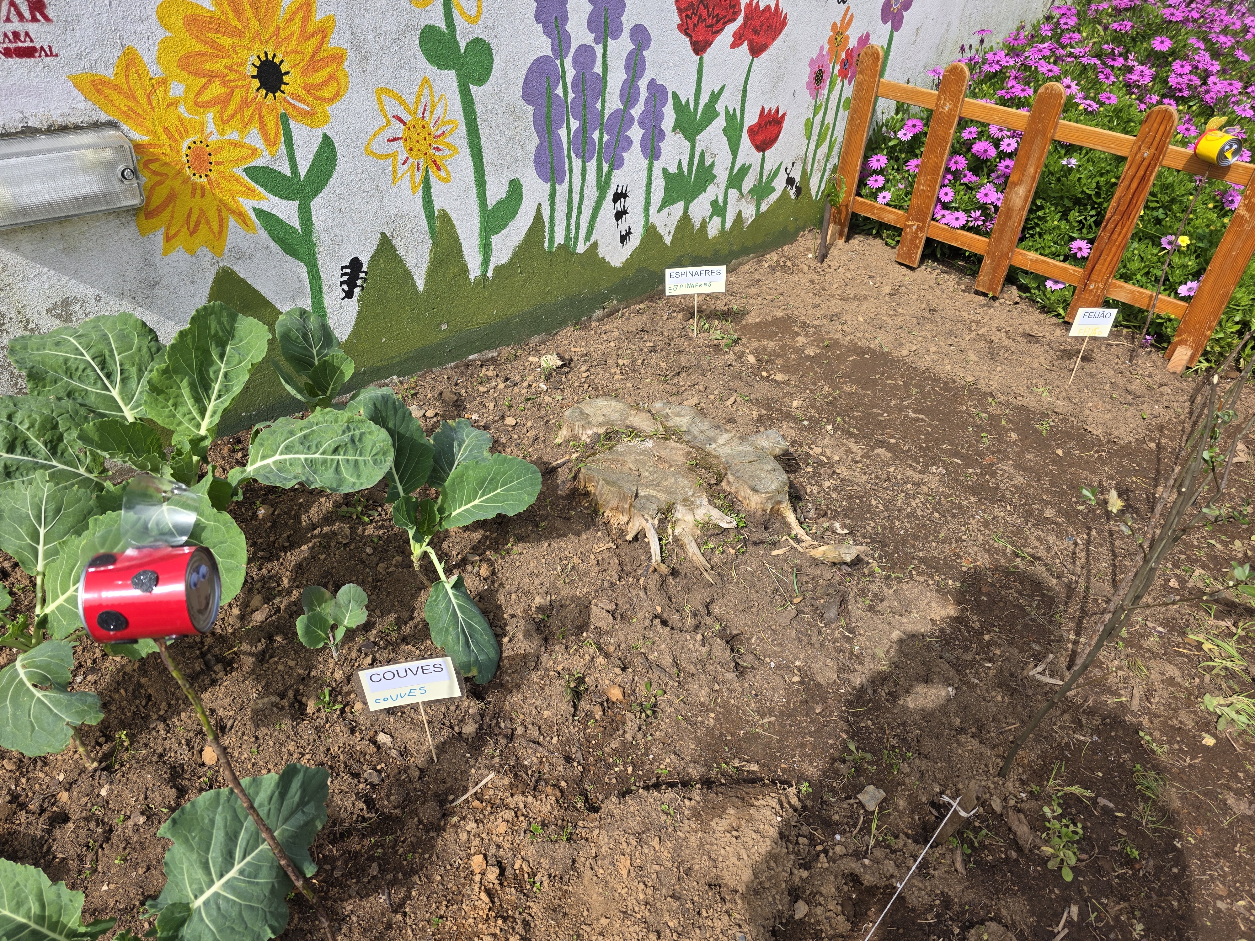 Diversidade - O espaço da horta revela uma diversidade de vegetação, com flores, couves e outros legumes a crescerem, trazendo dinamismo e beleza ao local.