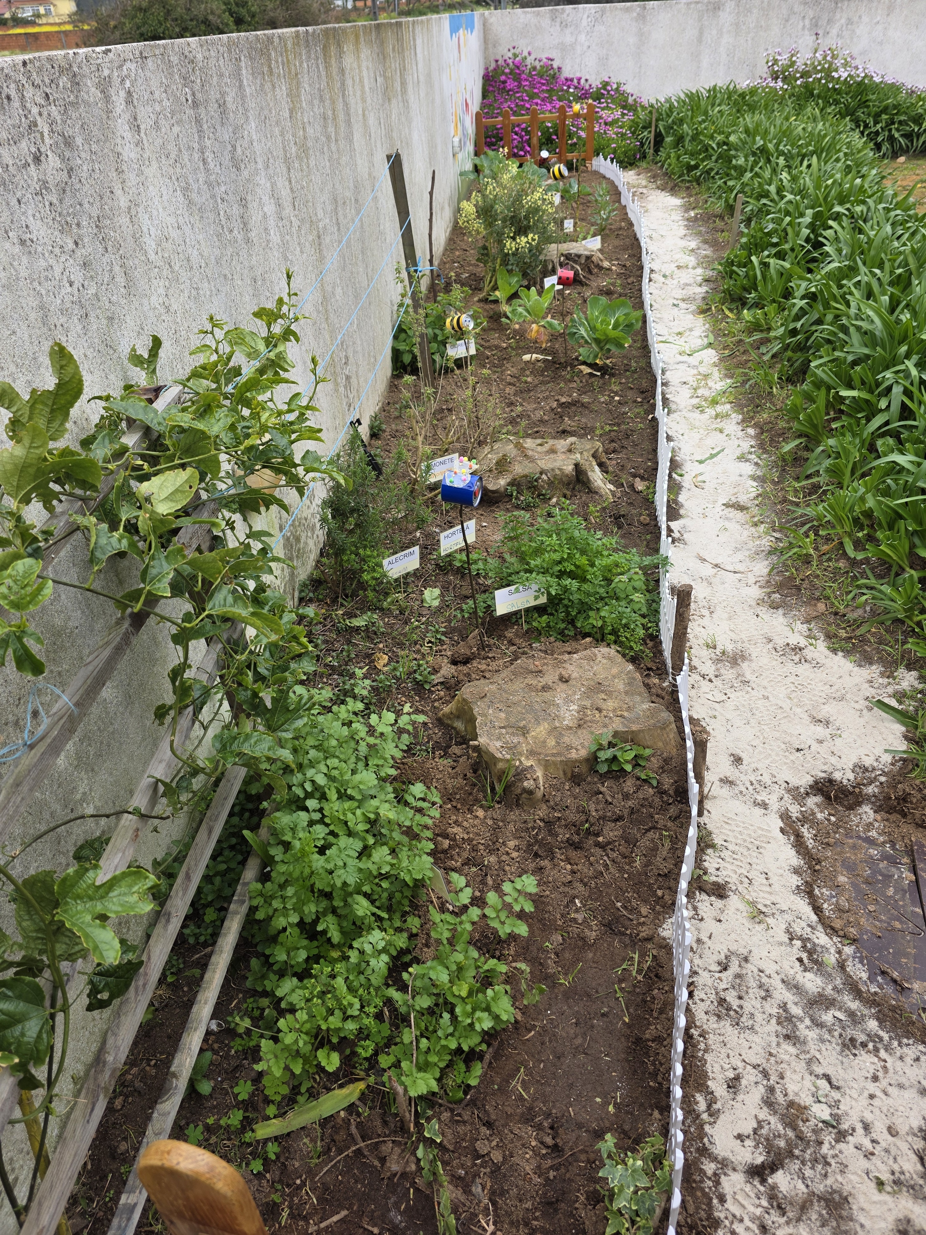 Vida e cor na horta - Os elementos decorativos como, joaninhas, borboletas, abelhas e passarinhos, feitos com materiais recicláveis e o muro pintado, juntamente com a multiplicidade de plantas e legumes, transformam a pequena horta num espaço vibrante e c