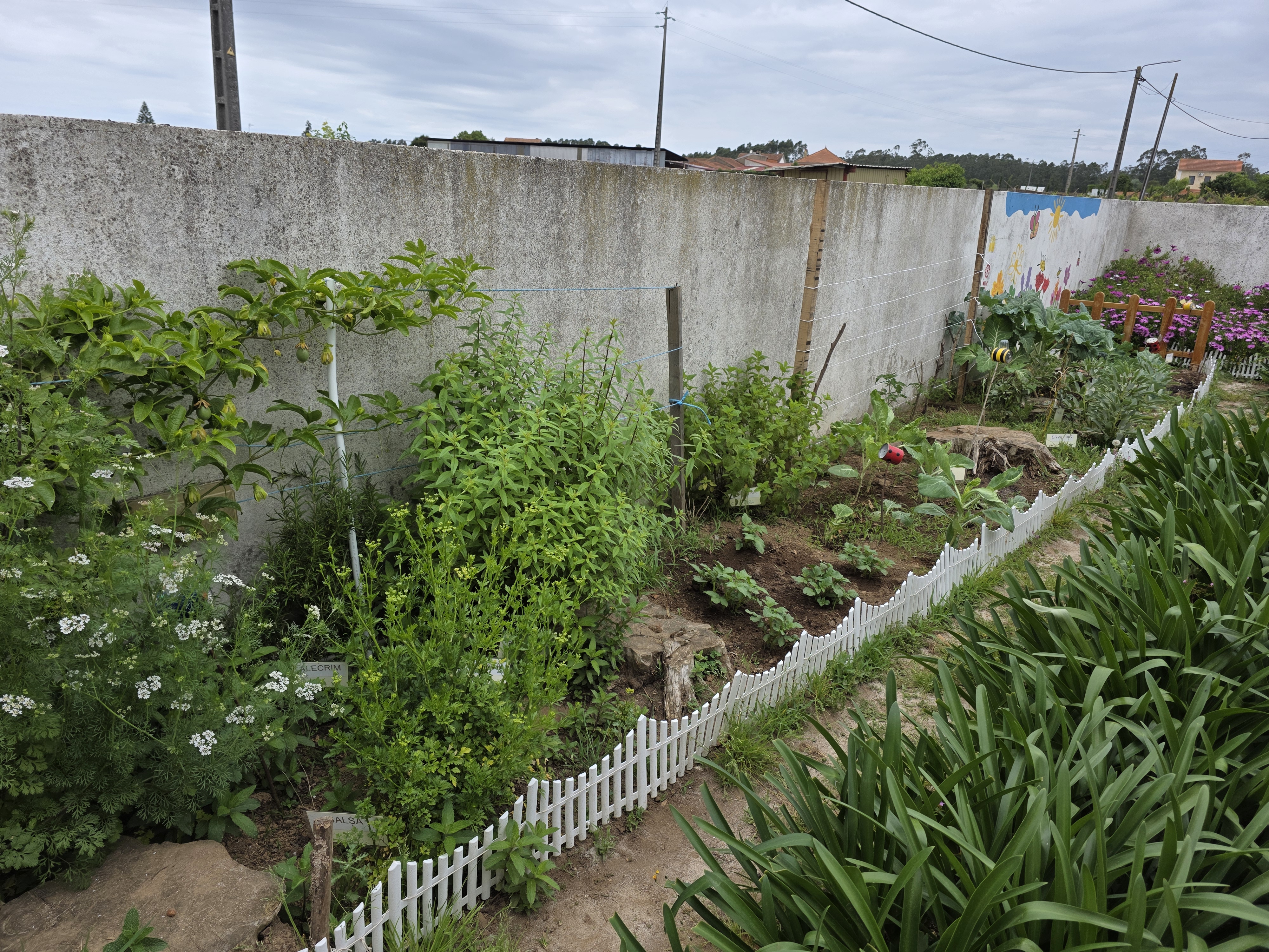 O desenvolvimento dos produtos cultivados na nossa horta nos meses de abril e maio. O espaço da horta revela uma diversidade de vegetação, com flores, frutos e legumes a crescerem, trazendo dinamismo e beleza ao local.