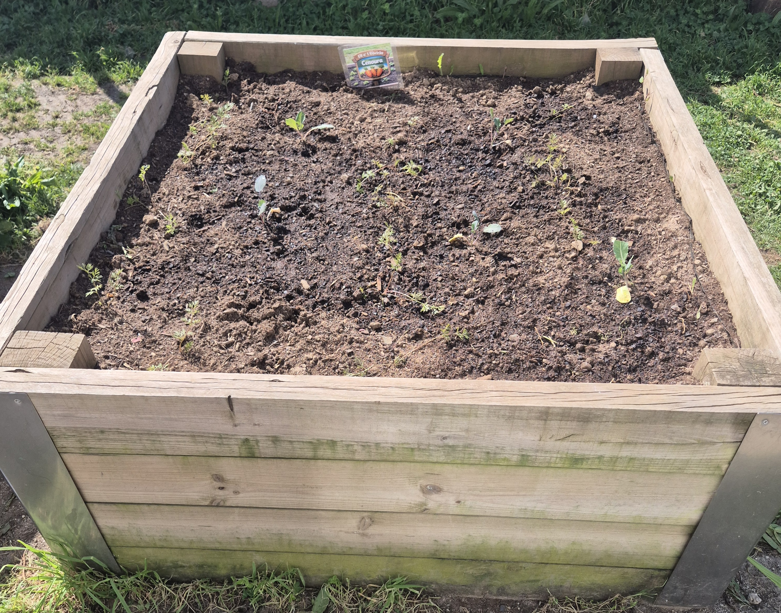 CANTEIRO DAS CENOURAS