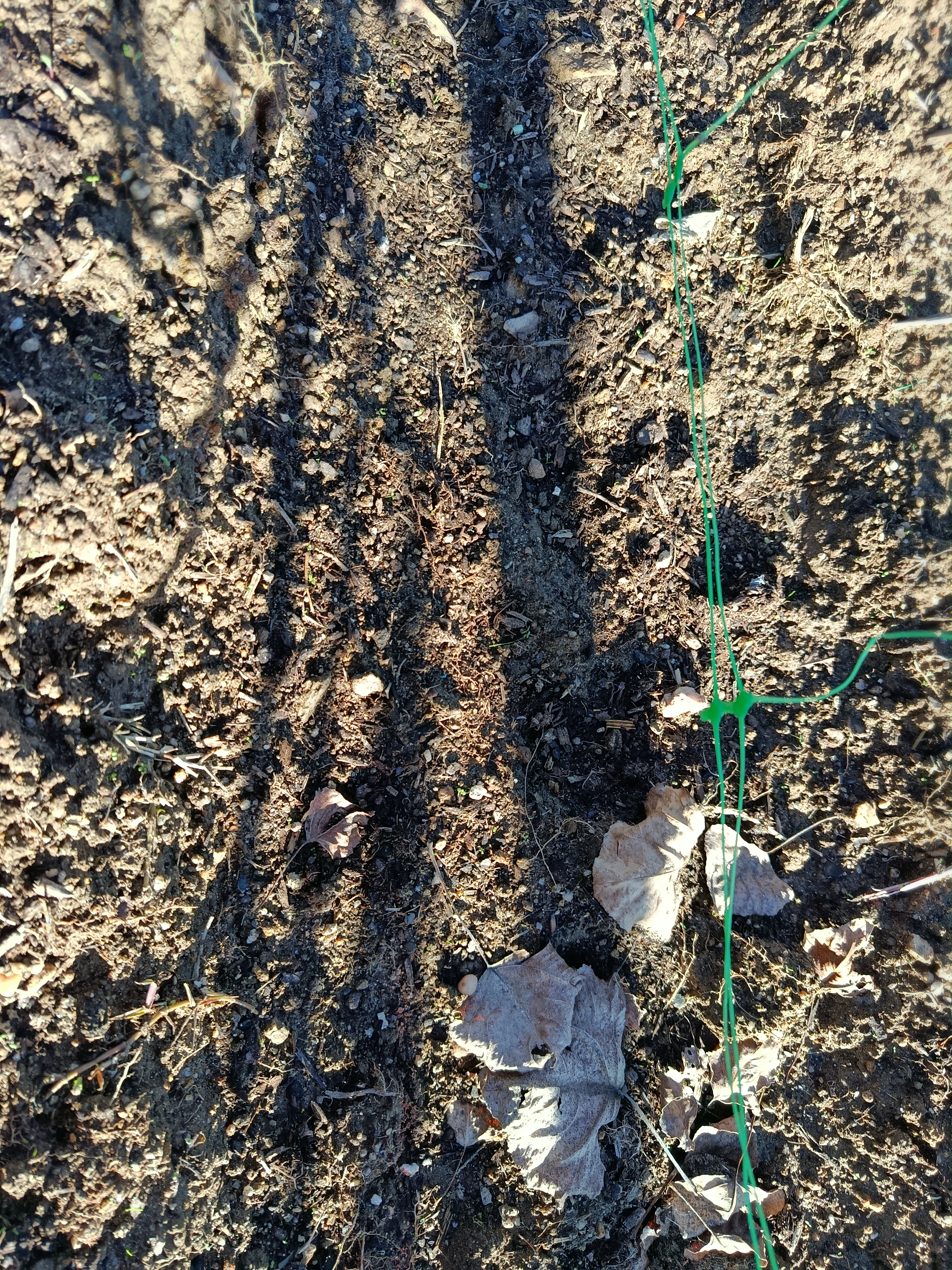 Terra pronta para semear