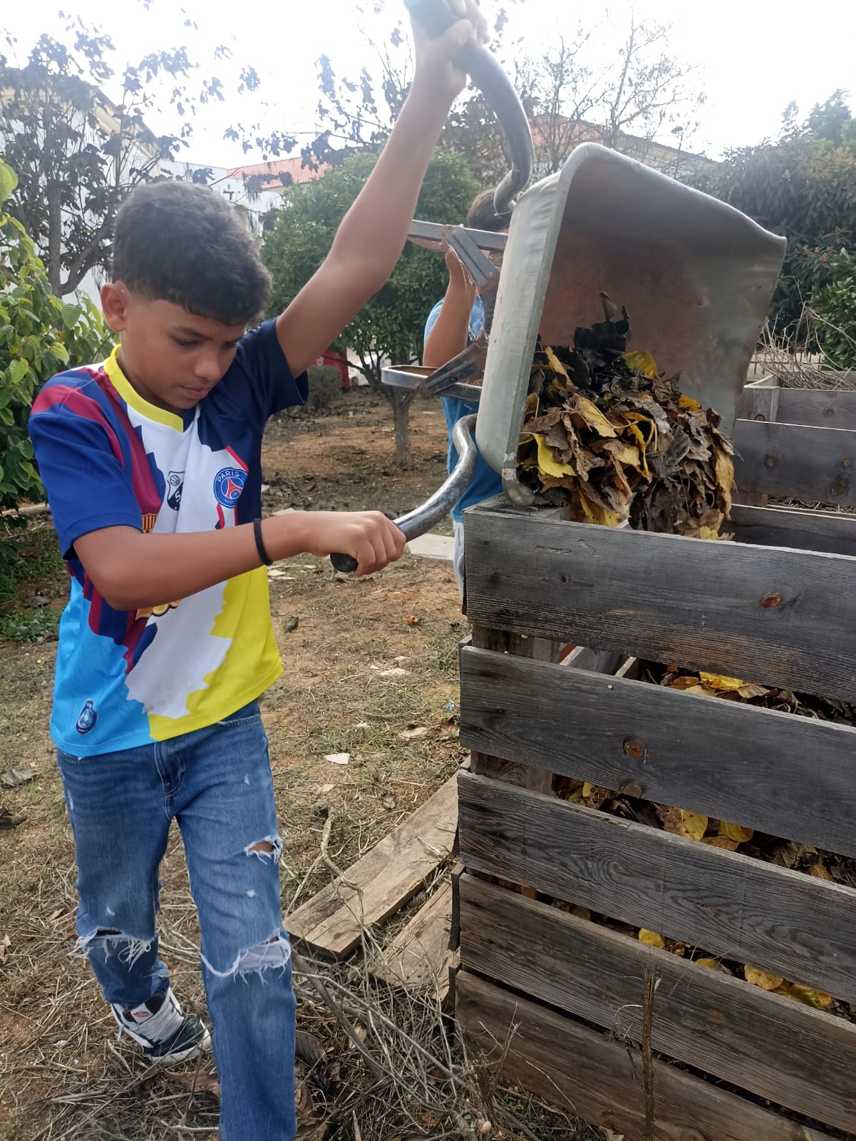 Recolha de folhas secas para a compostagem.