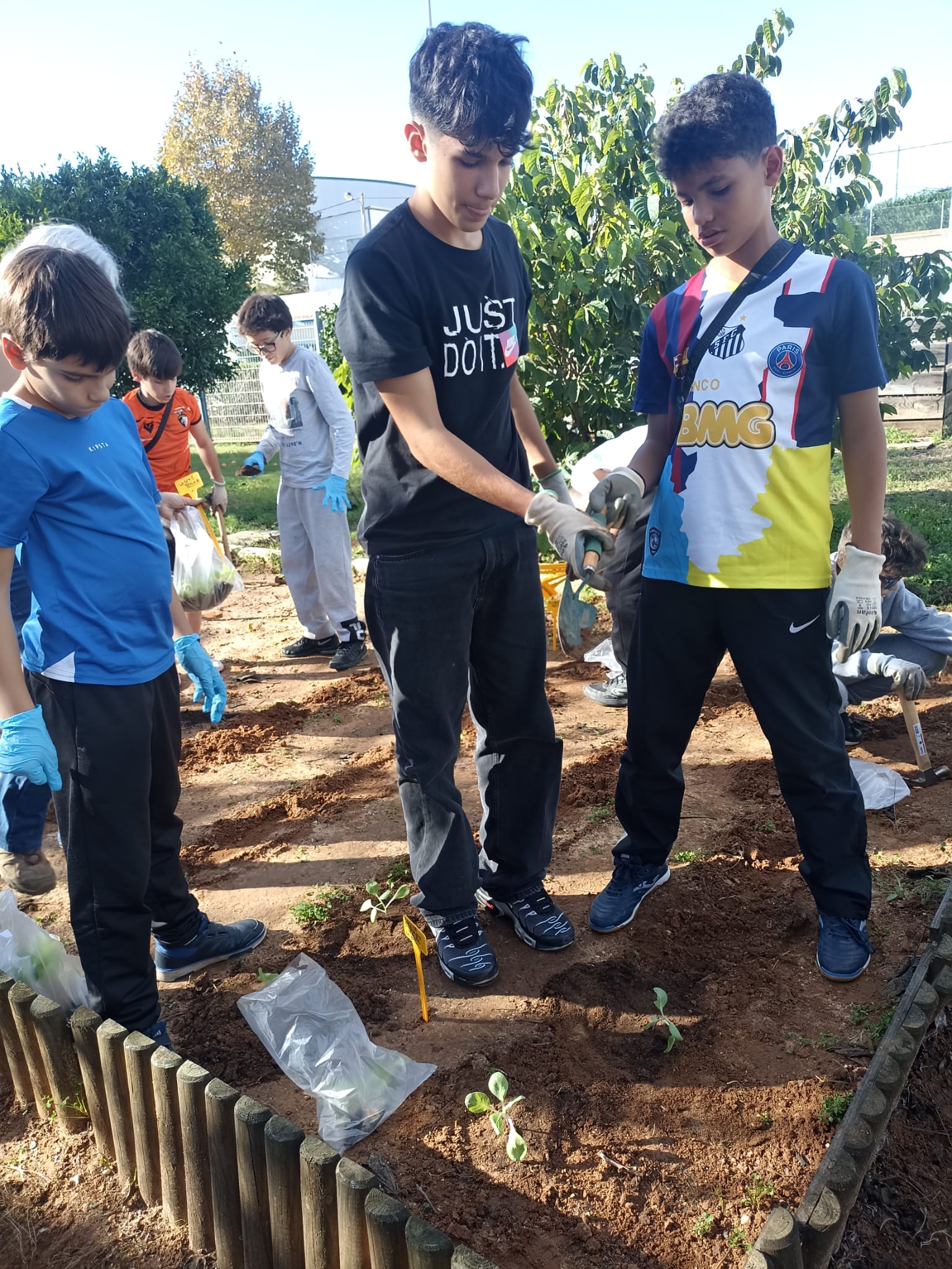 Plantação de hortícolas, por parte dos nossos alunos.