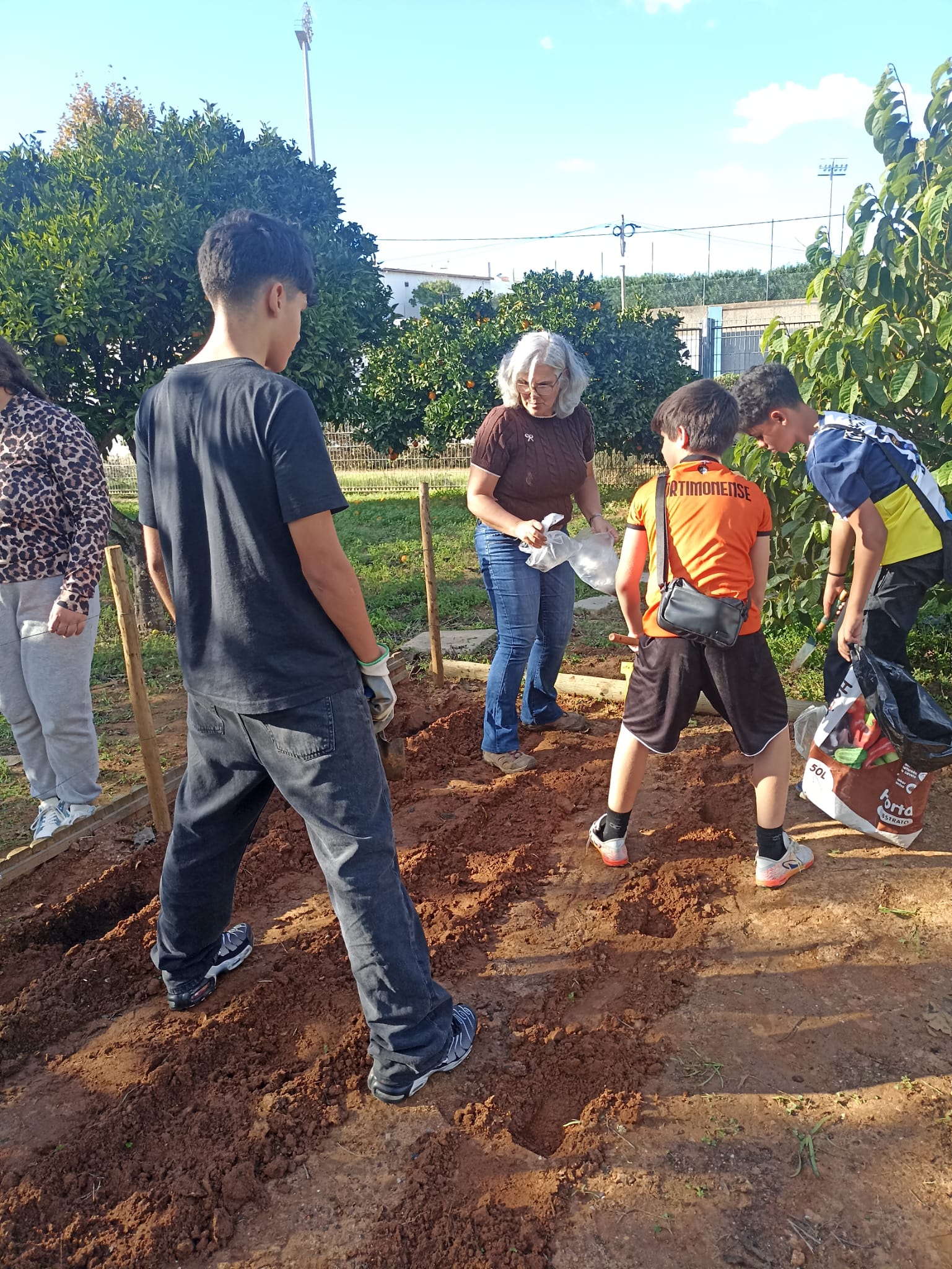 Plantação de hortícolas, por parte dos nossos alunos.