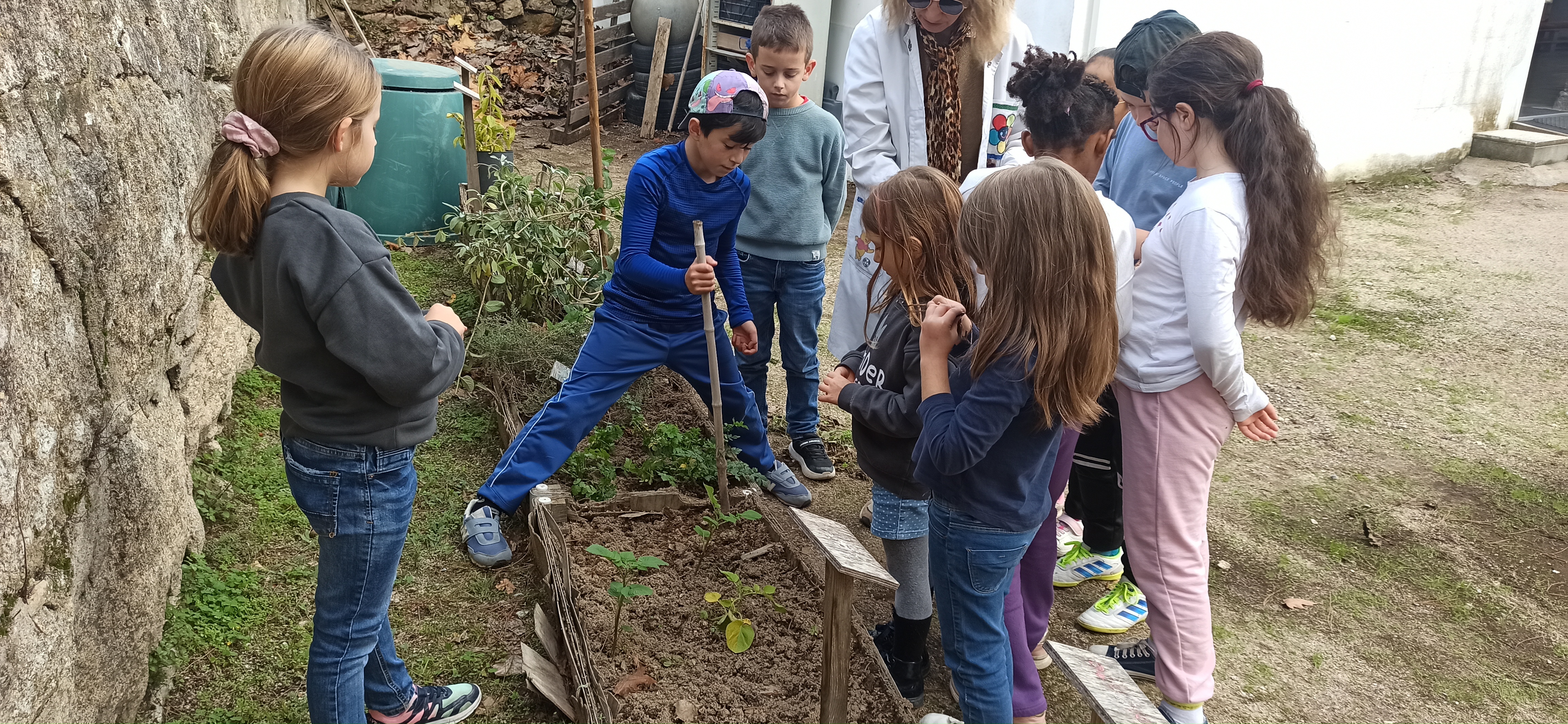 Tentamos fazer algumas melhorias e plantações na horta.
