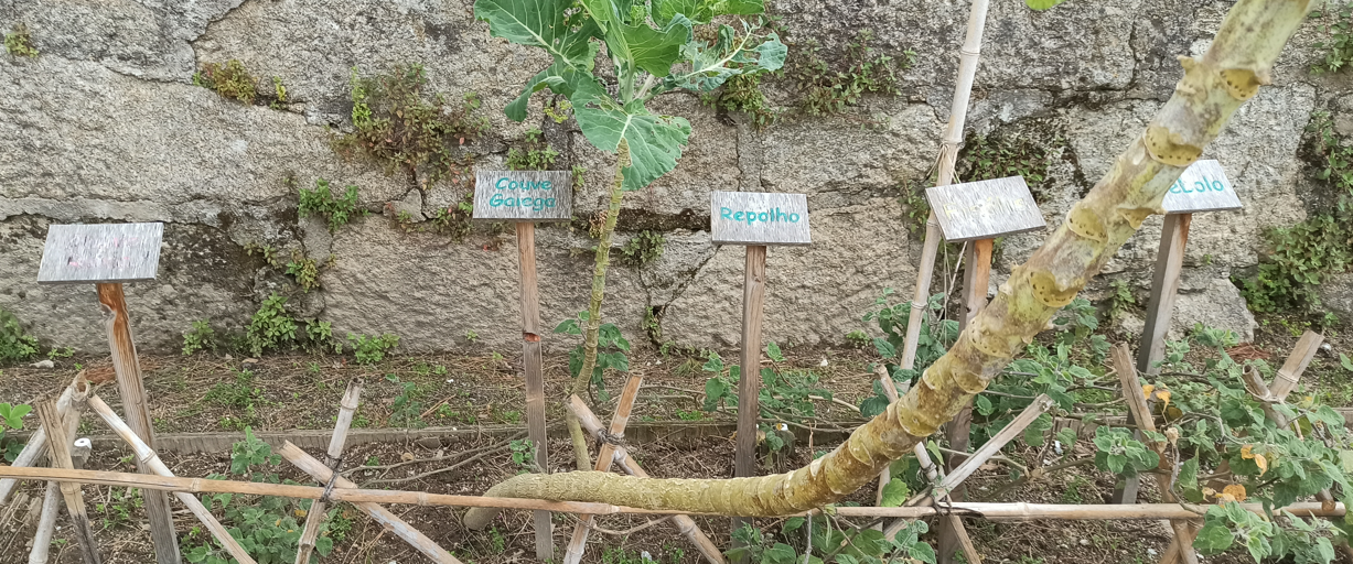 Em março o nosso jardim estava destruído e sem vida.