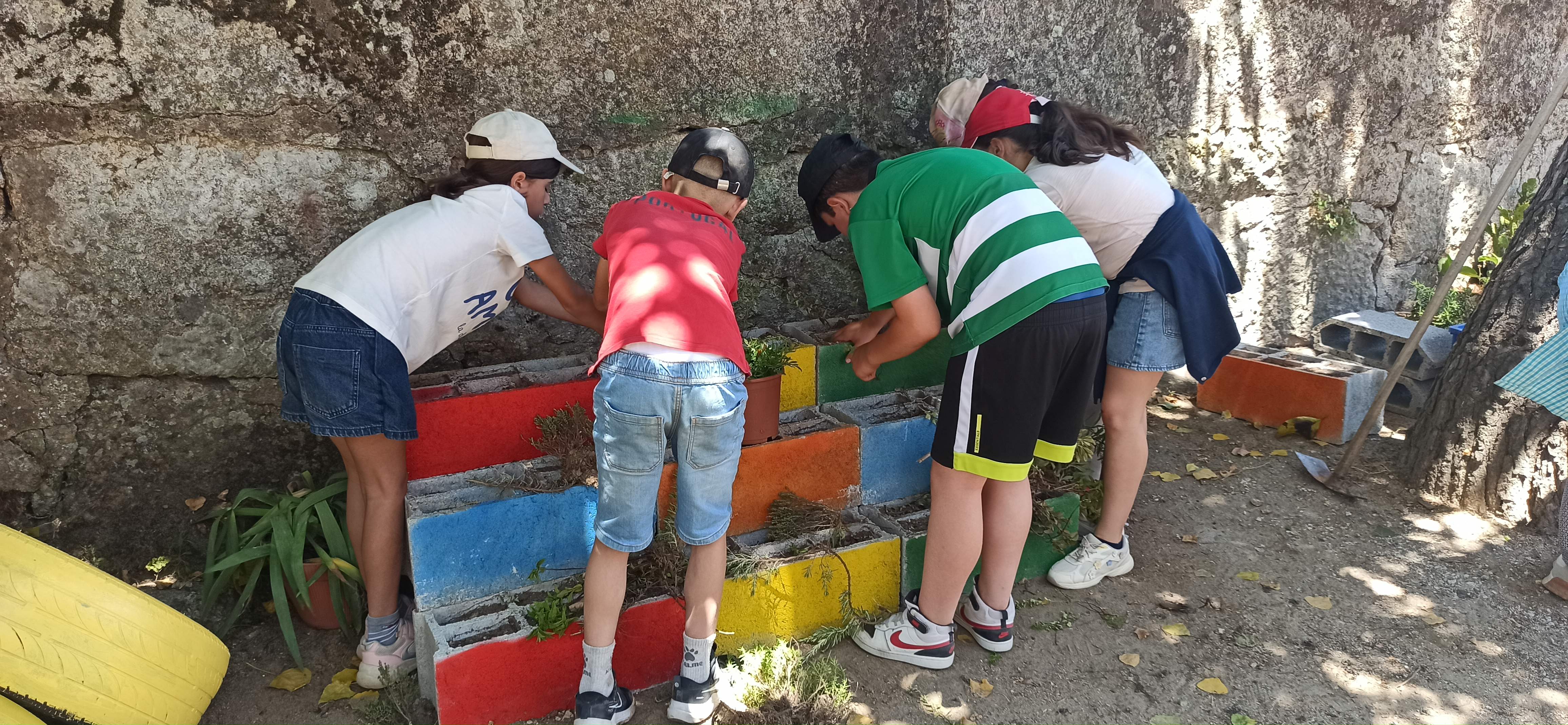 Os alunos do 4º ano trataram da plantação das erva aromáticas.