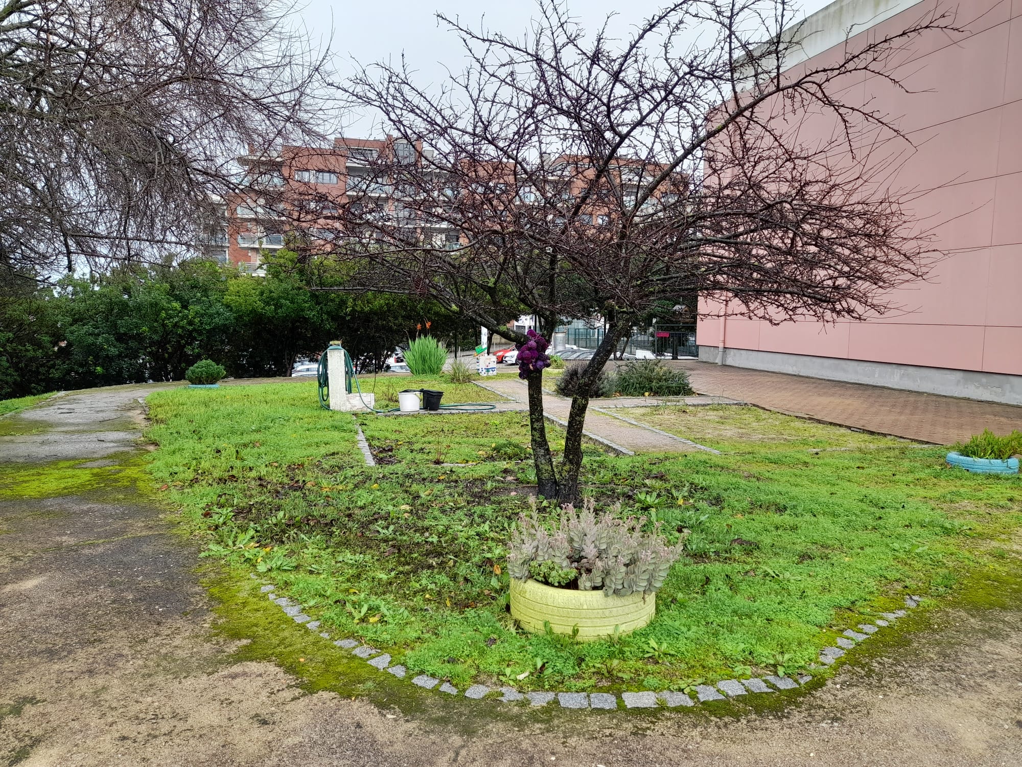 O inverno na nossa Horta!