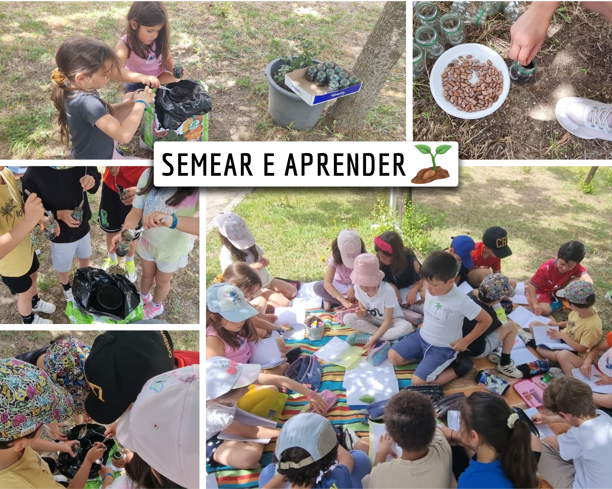 A turma do 1ºC semeou e experienciou, junto da horta.