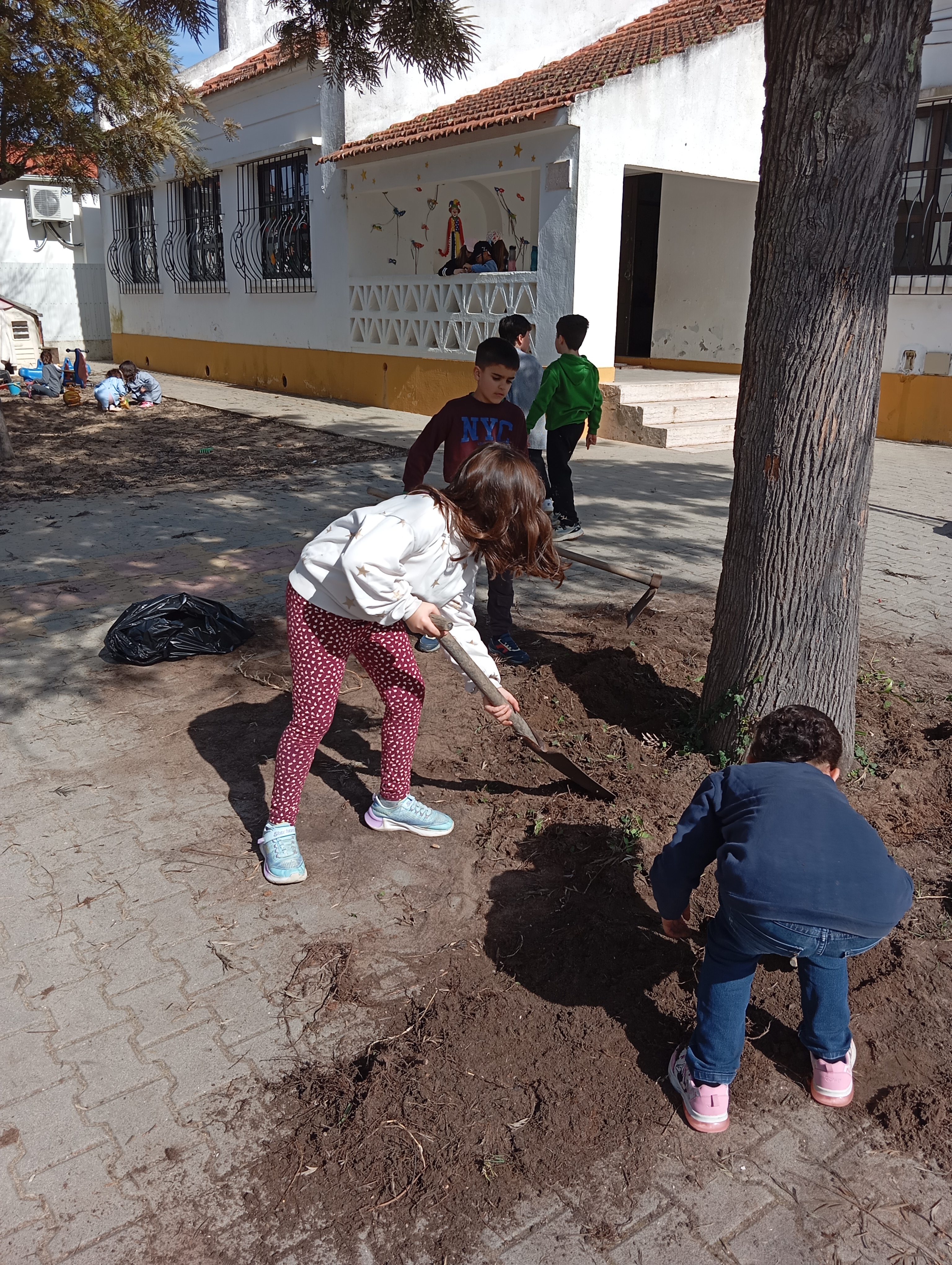 Preparação do solo e dos canteiros, com fertilizante do compostor.