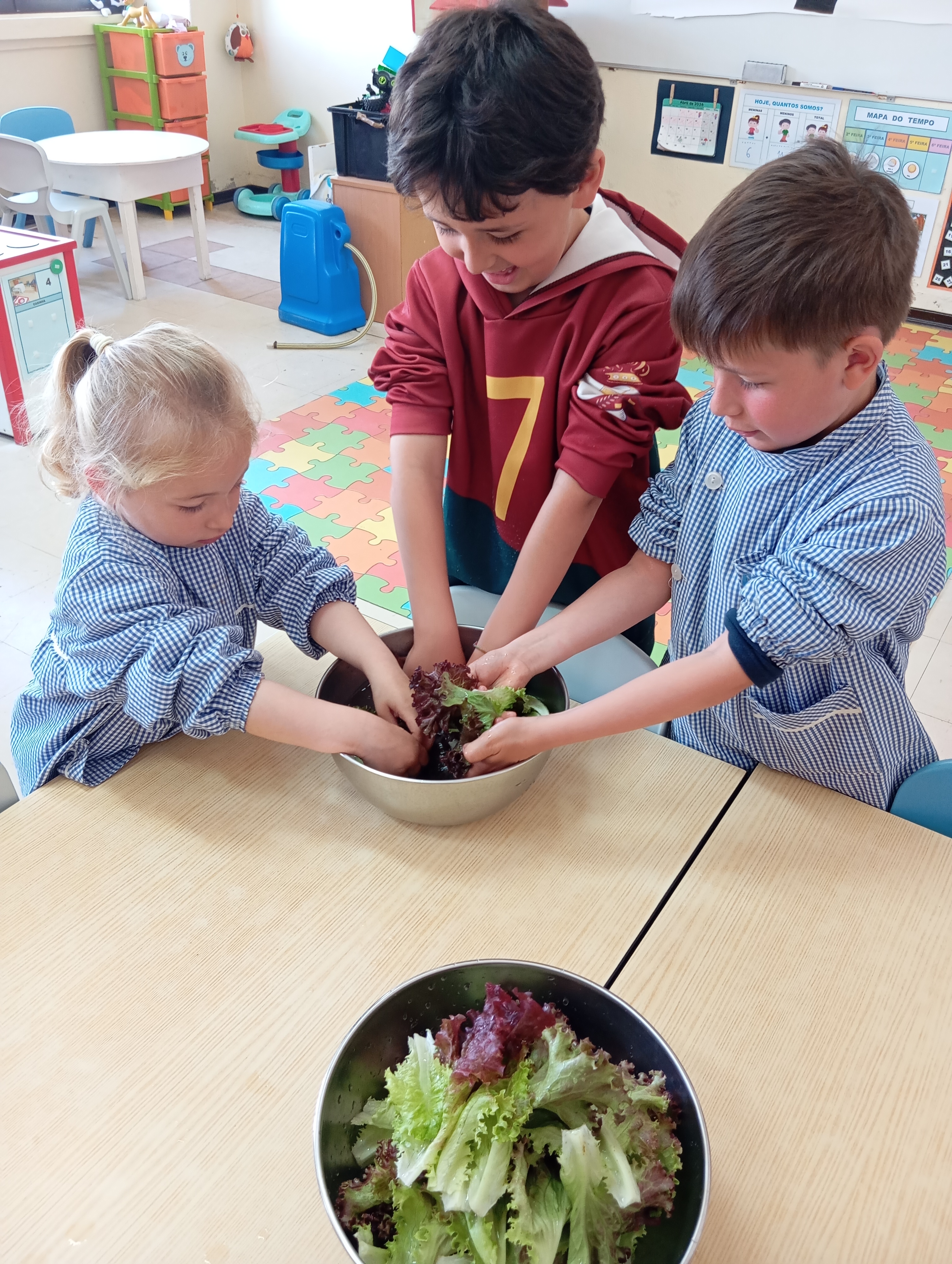 Crescimento das plantas e colheita de algumas para confeção na escola.