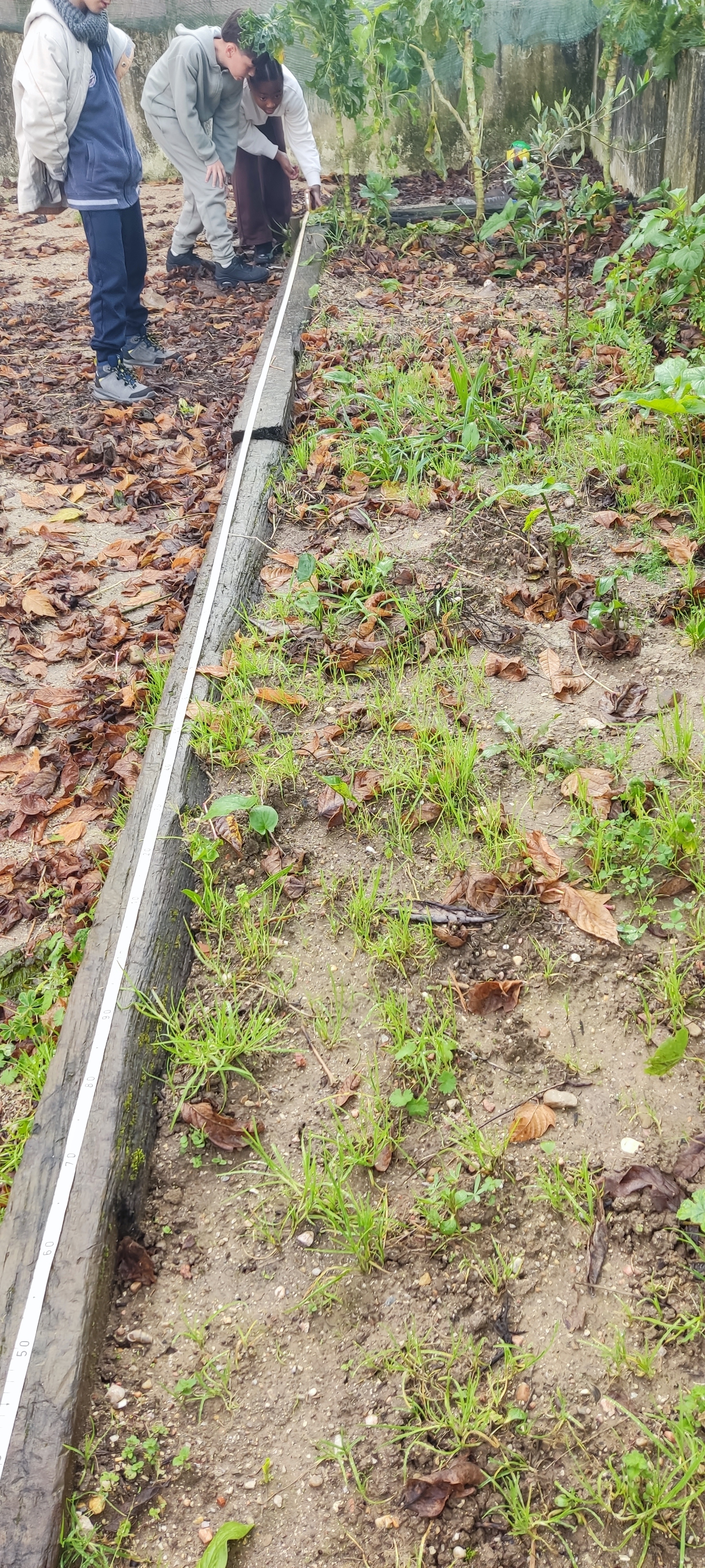 Medir o terreno.
Calcular a área e o perímetro.