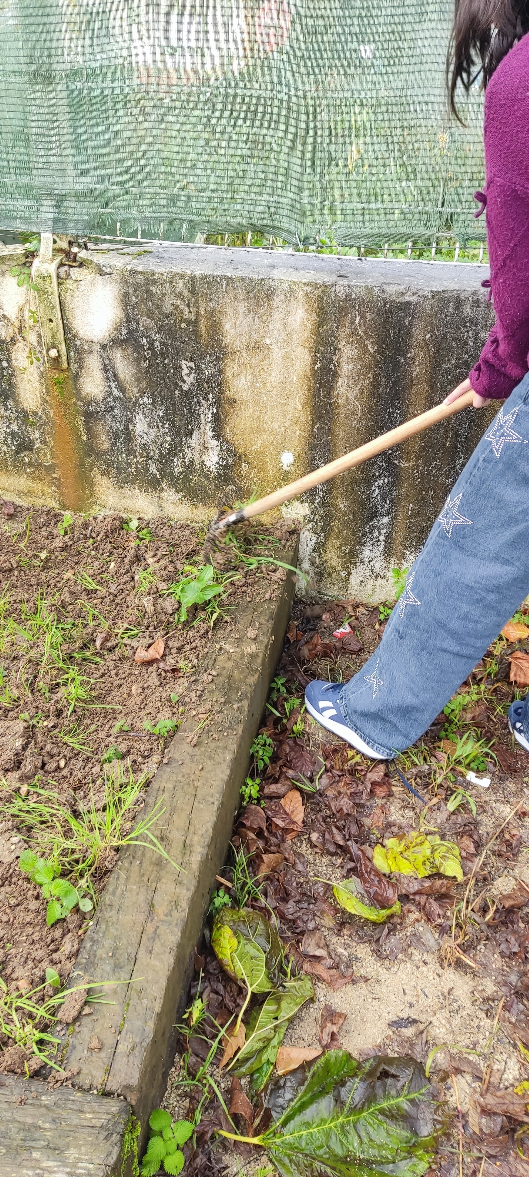 Arrancar as ervas daninhas.