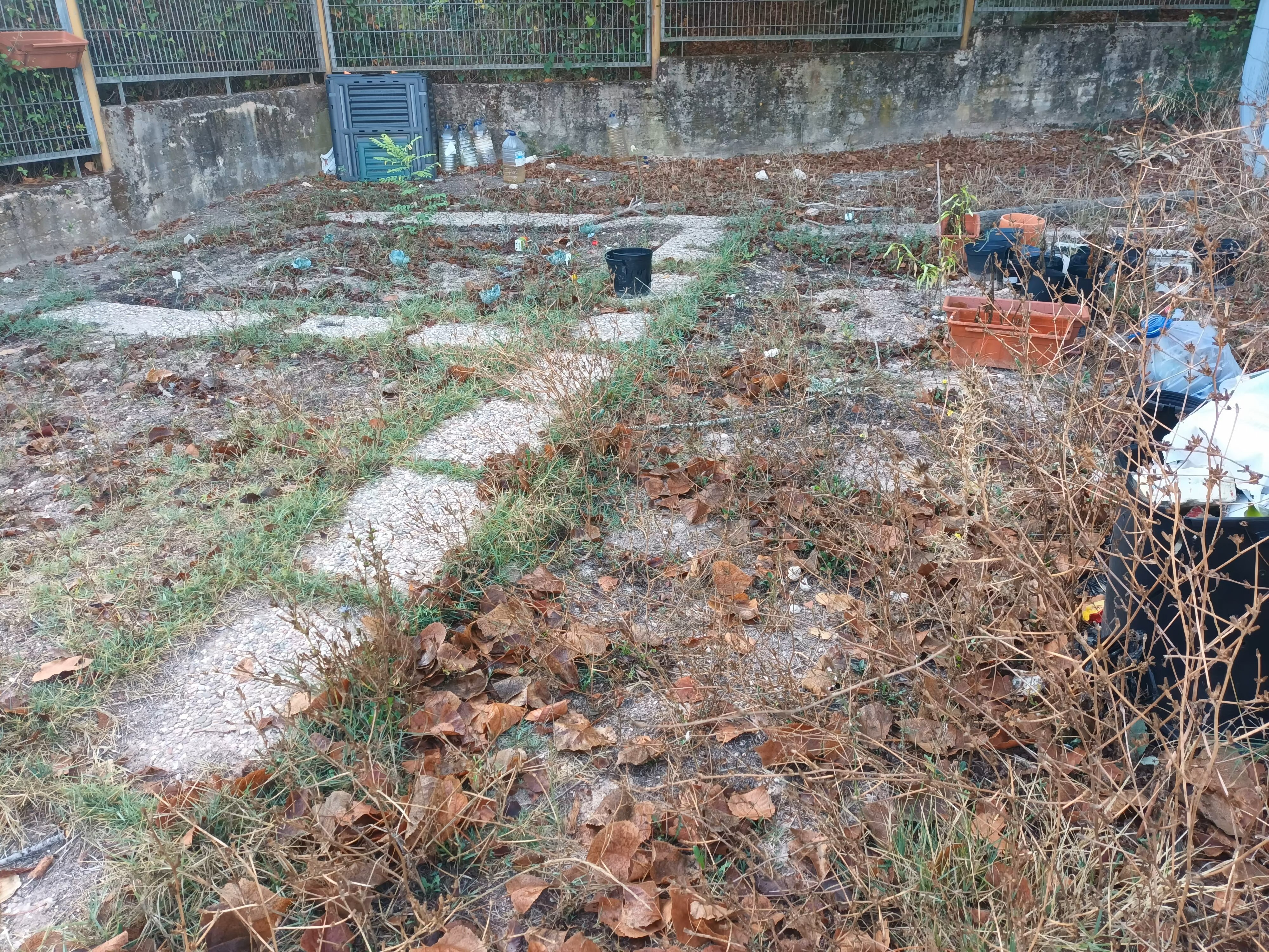 Estado da Horta.
