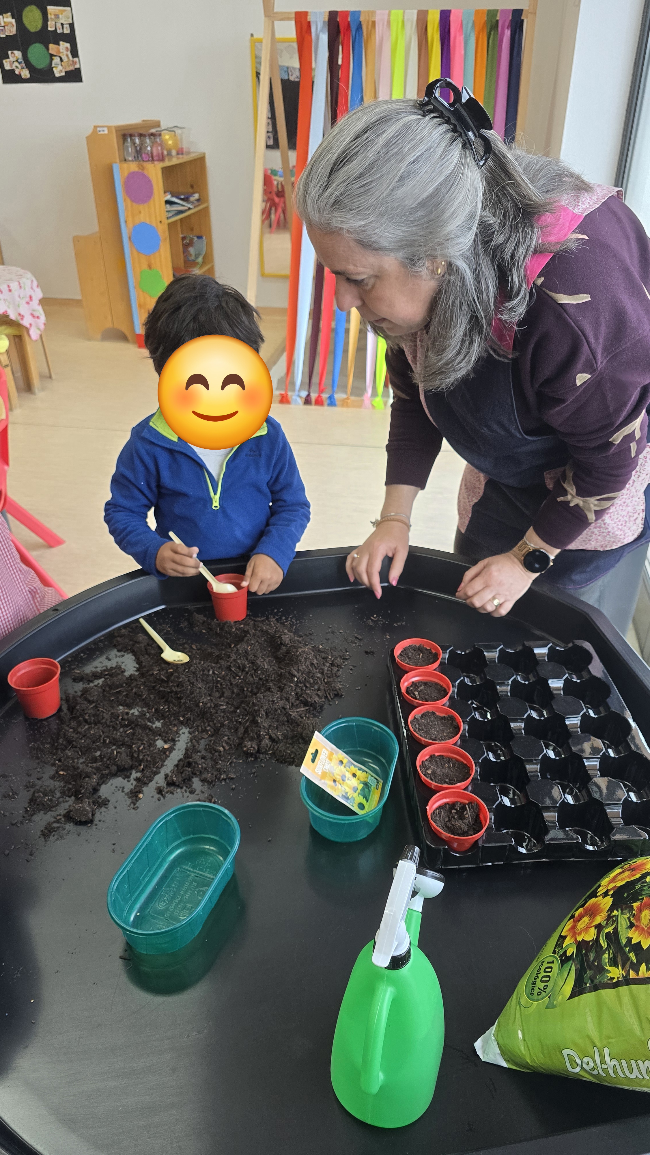 Preparar terra para sementes