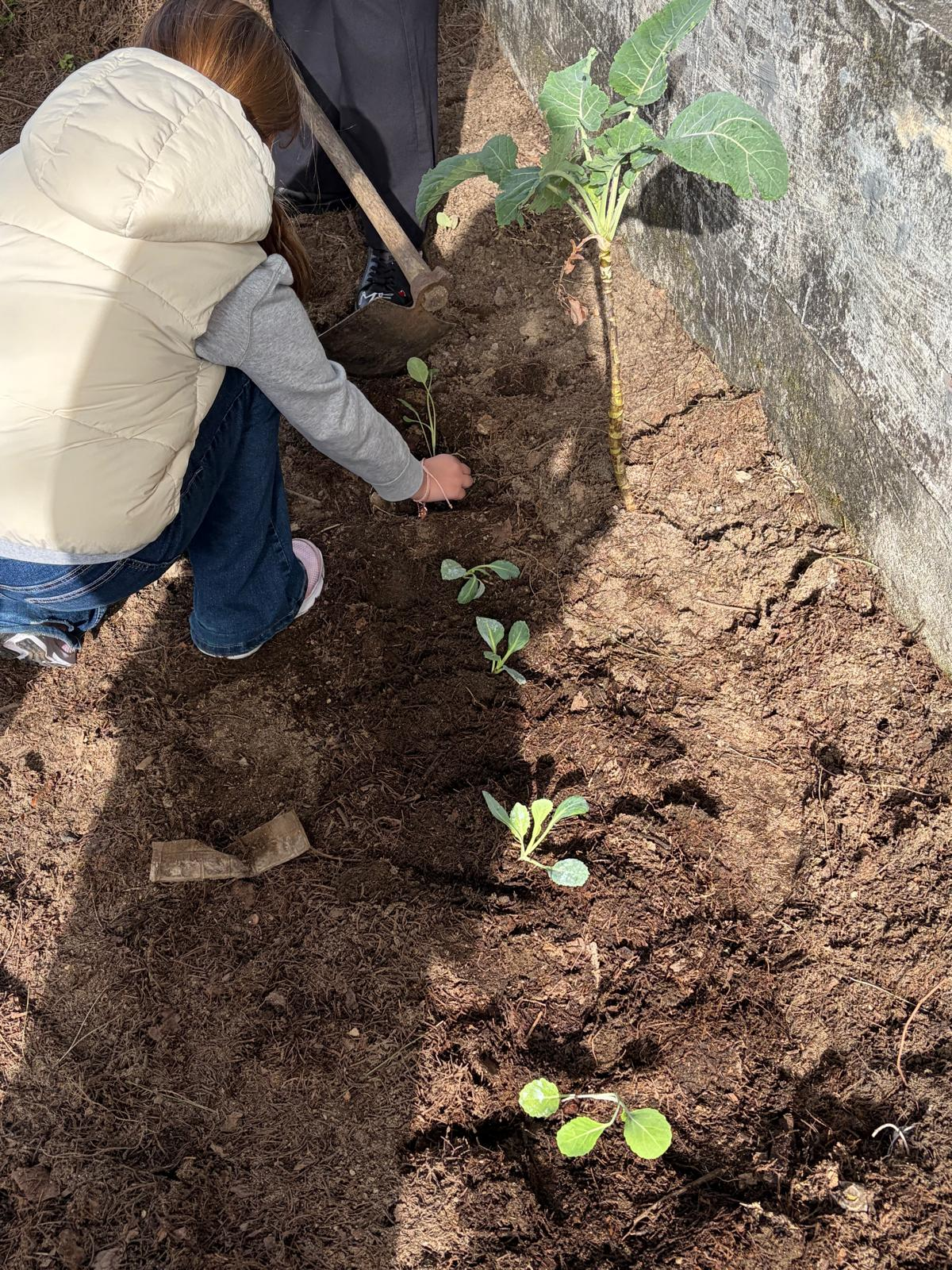 horta março