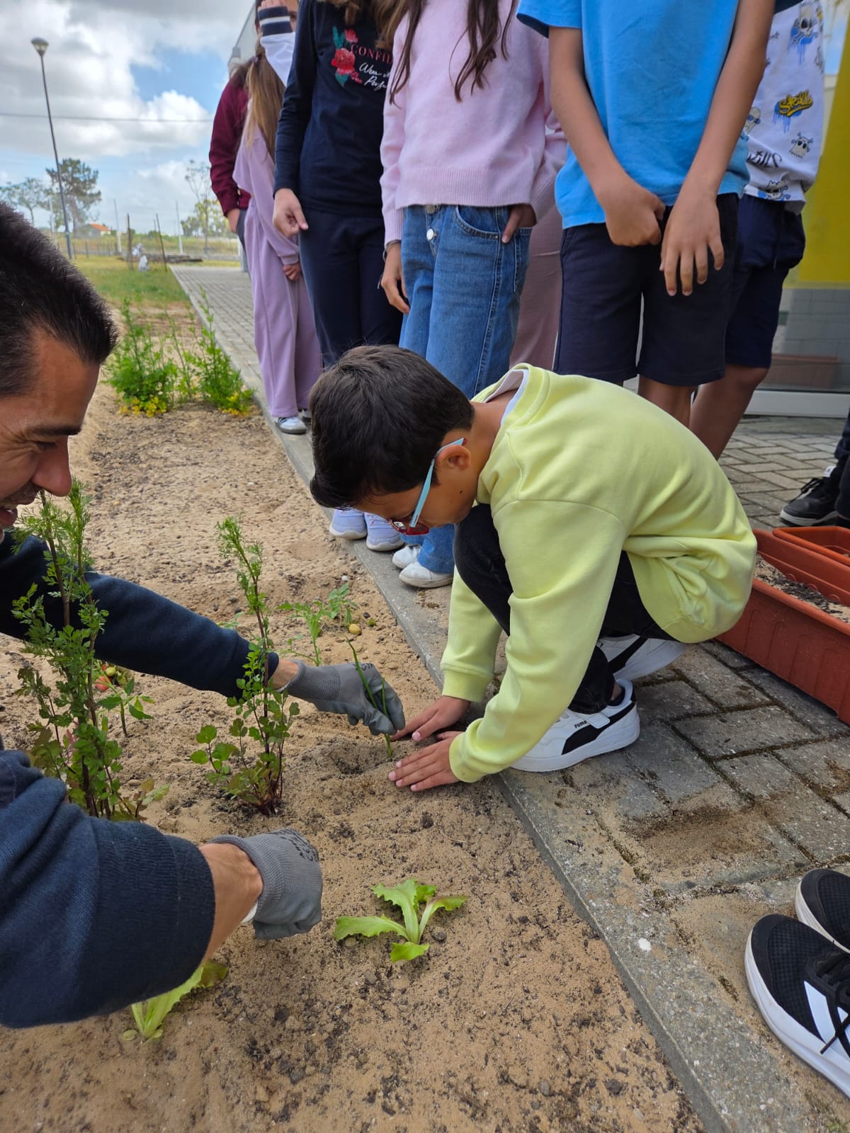 Sustentabilidade começa no cultivo.