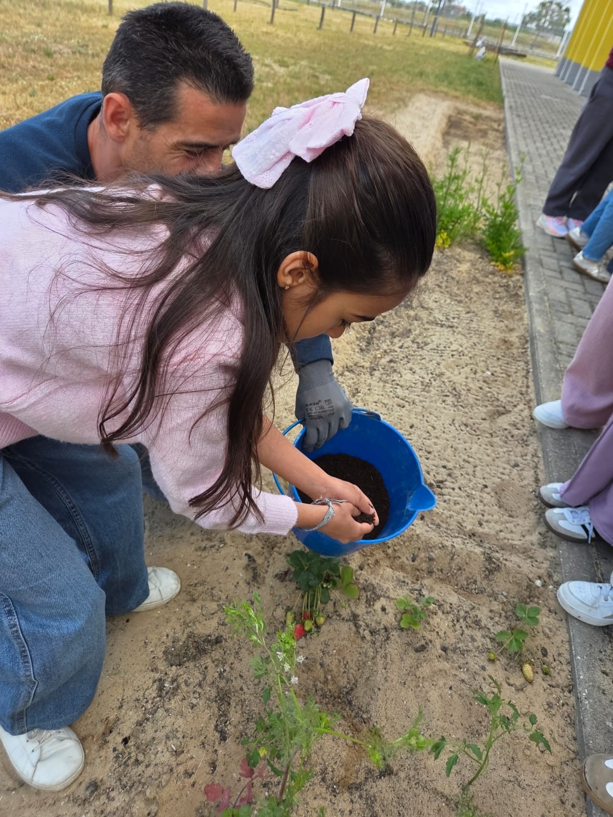 Projeto horta: cultivando vida todos os dias.