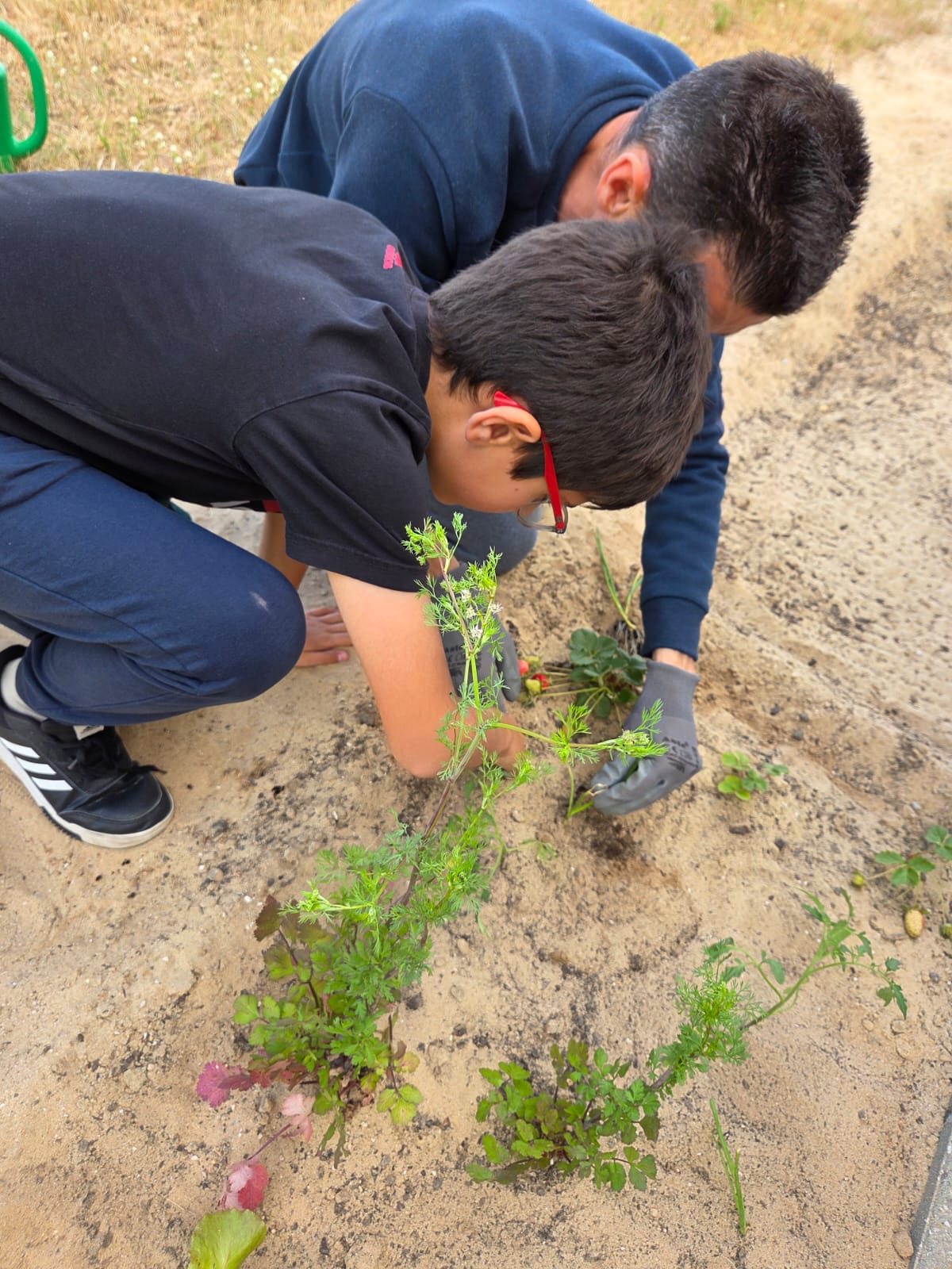 Hoje plantamos. Amanhã colheremos.