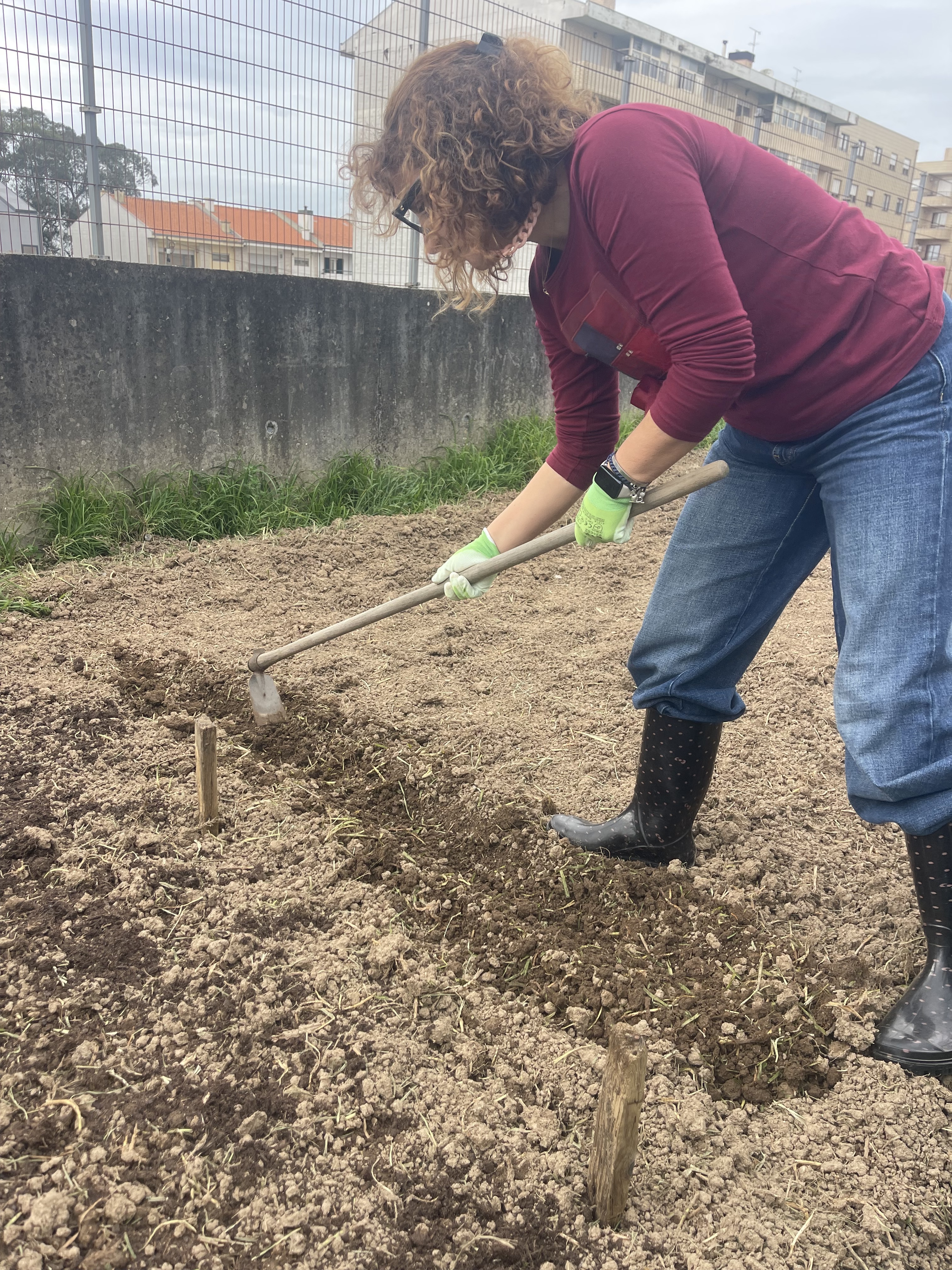 Abertura de sulcos na terra para plantar na nossa horta.