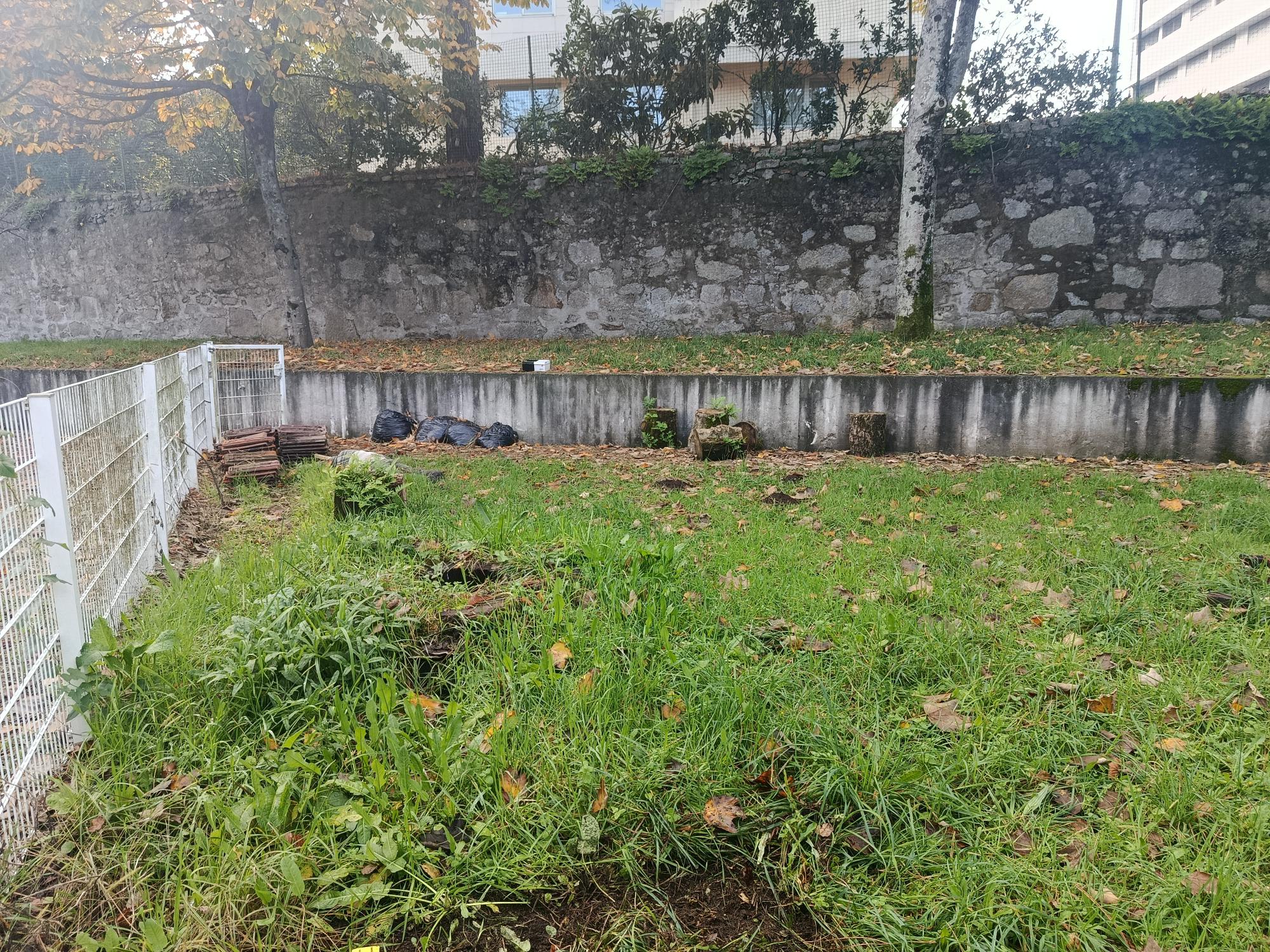 Espaço da horta sem estar tratado e planeado por talhões