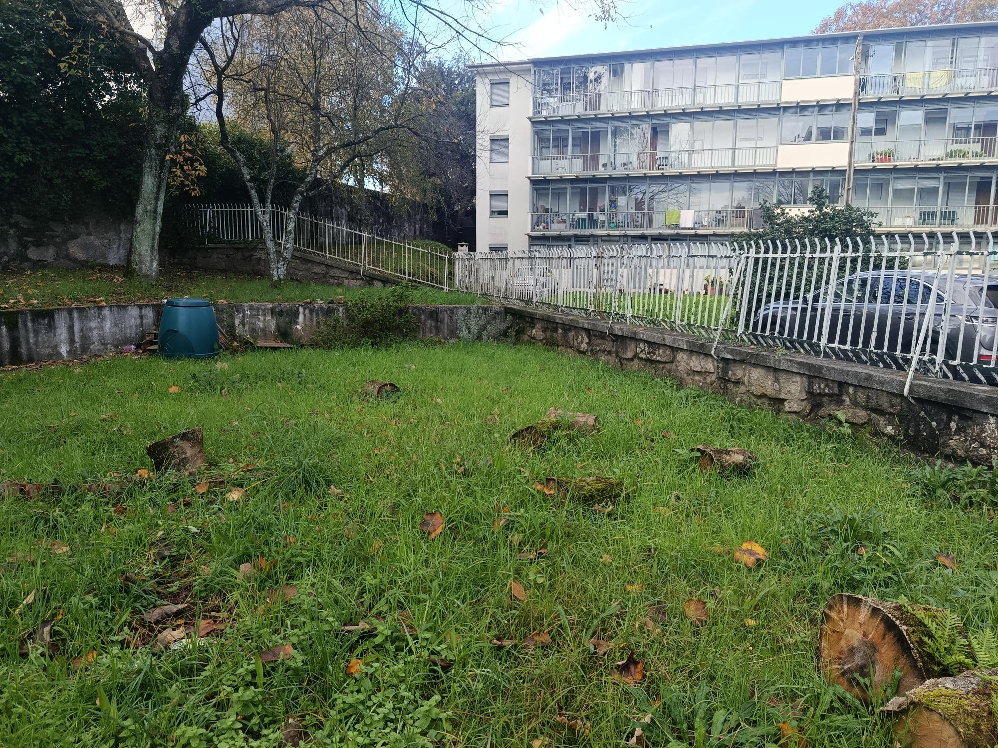 Espaço da horta sem estar tratado e planeado por talhões