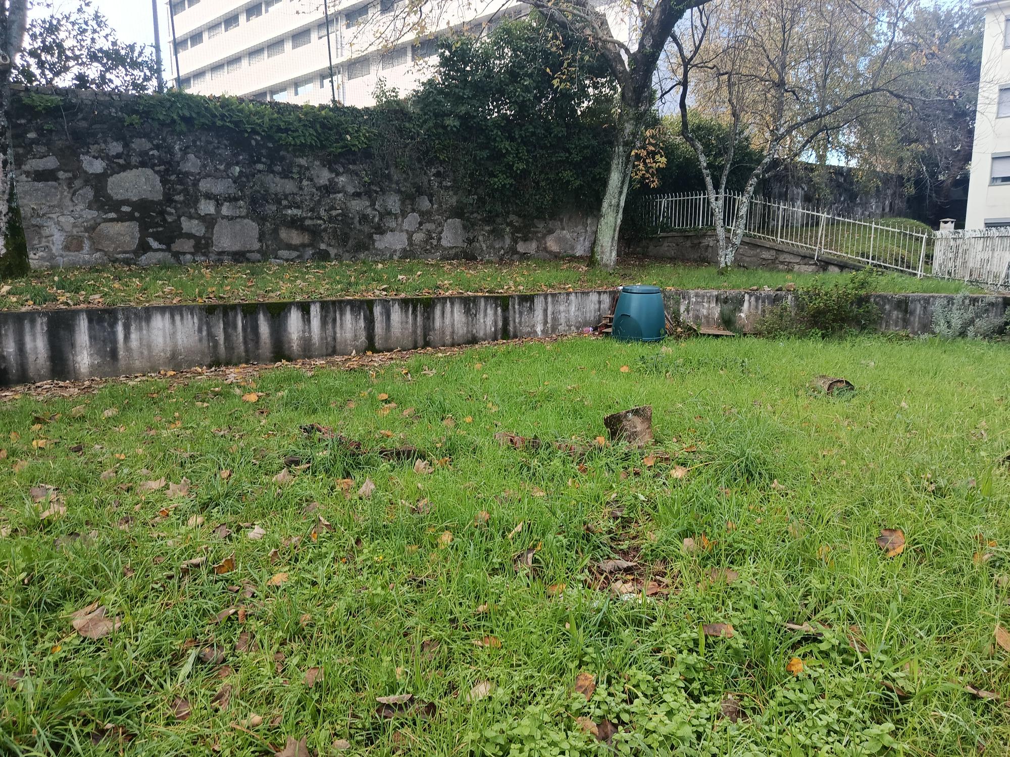 Espaço da horta sem estar tratado e planeado por talhões