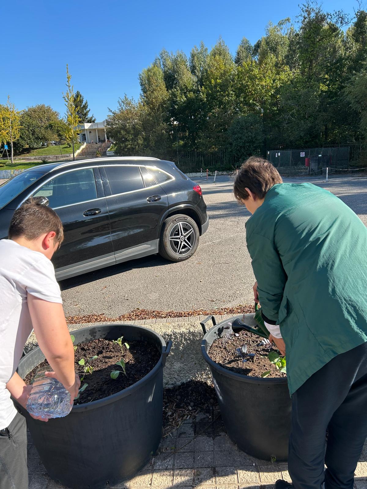 Alunos a regar os legumes