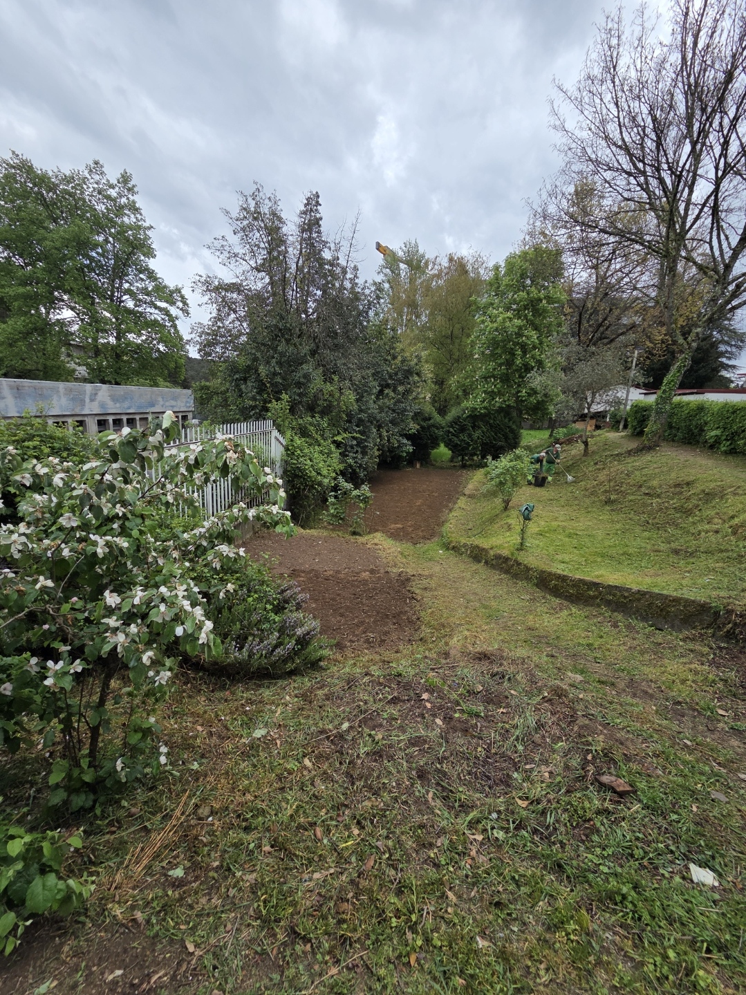 Terreno limpo e preparado para a horta