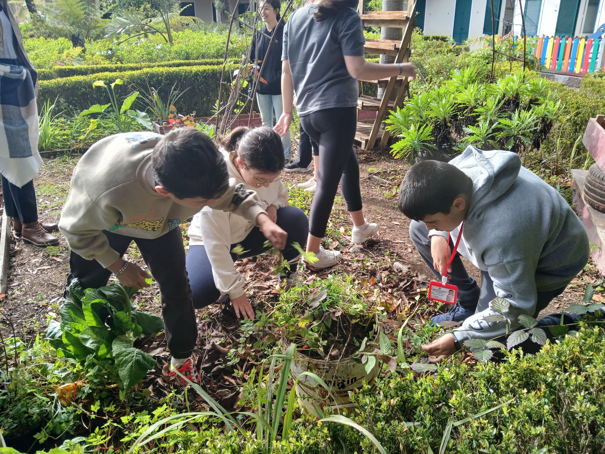 Preparação do espaço destinado à horta escolar, com trabalhos de limpeza e organização da área.
