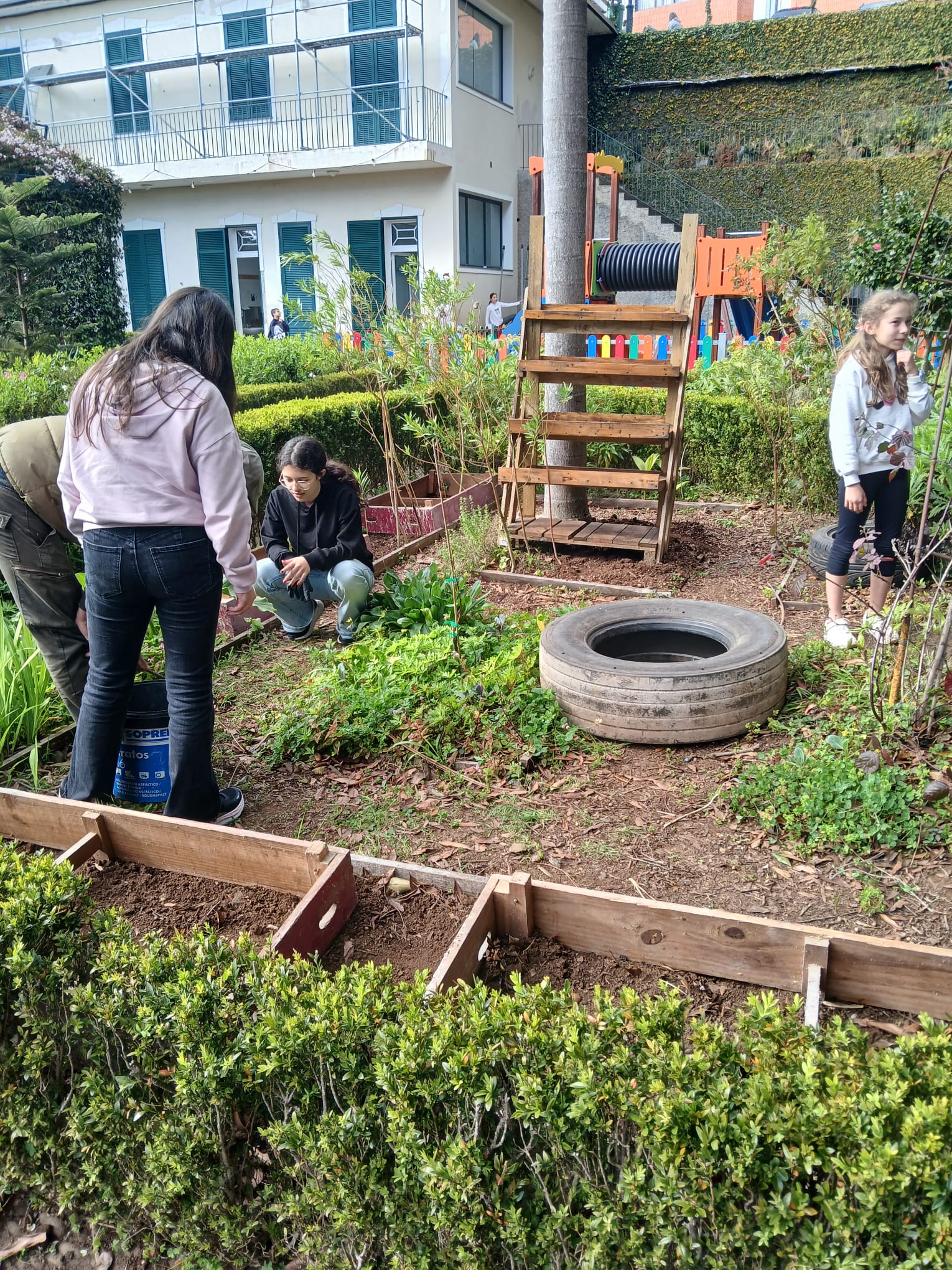 Preparação do espaço destinado à horta escolar, com trabalhos de limpeza e organização da área.