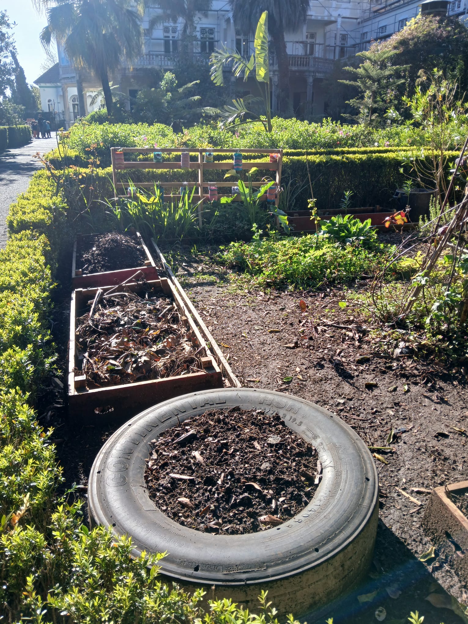 Canteiros preparados para a plantação de hortículas.