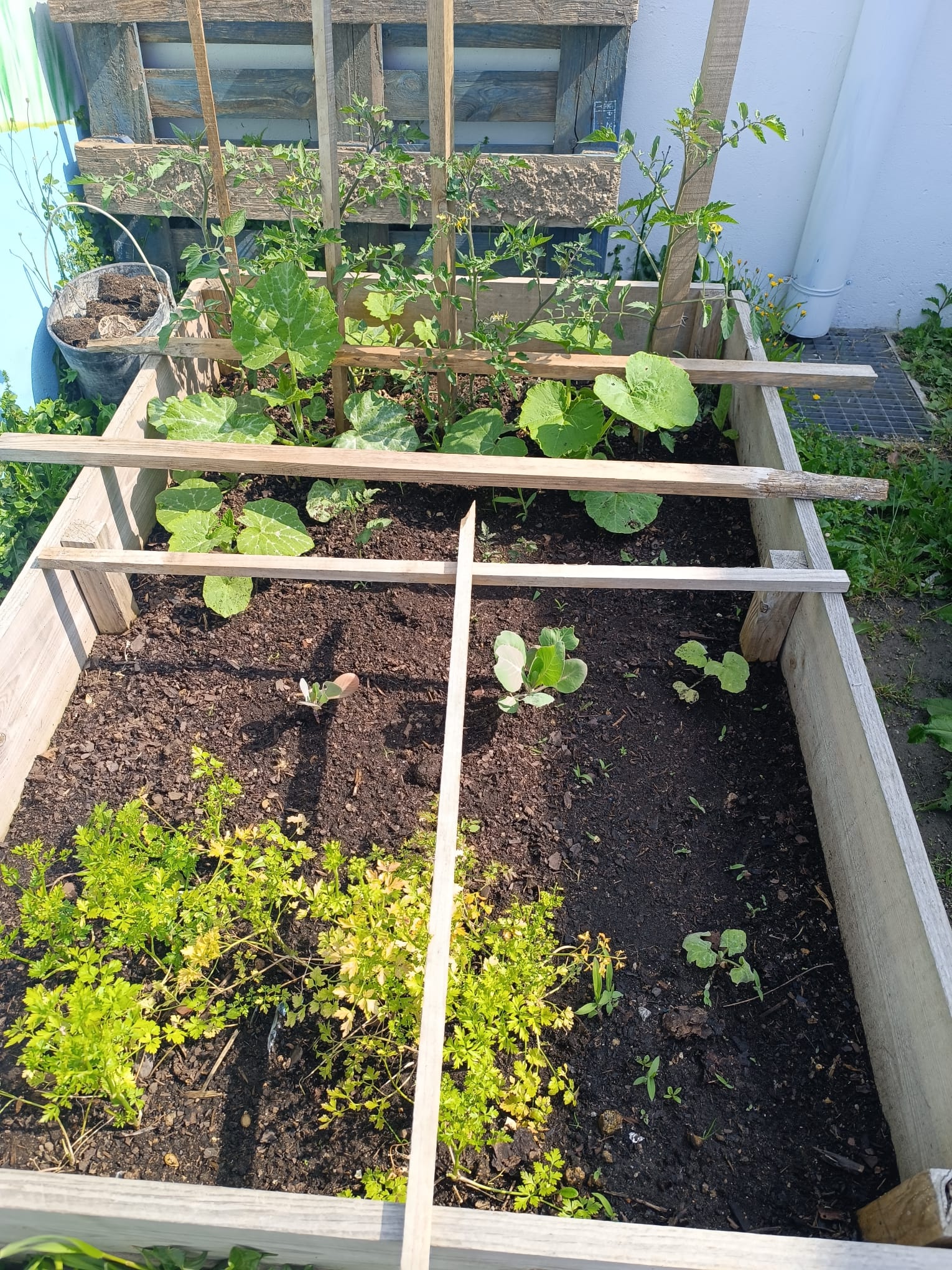 Horta