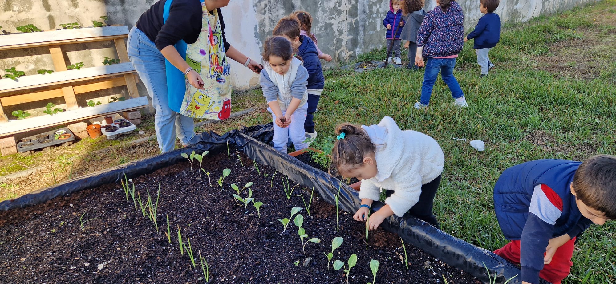 Participação ativa do grupo de crianças na plantação.