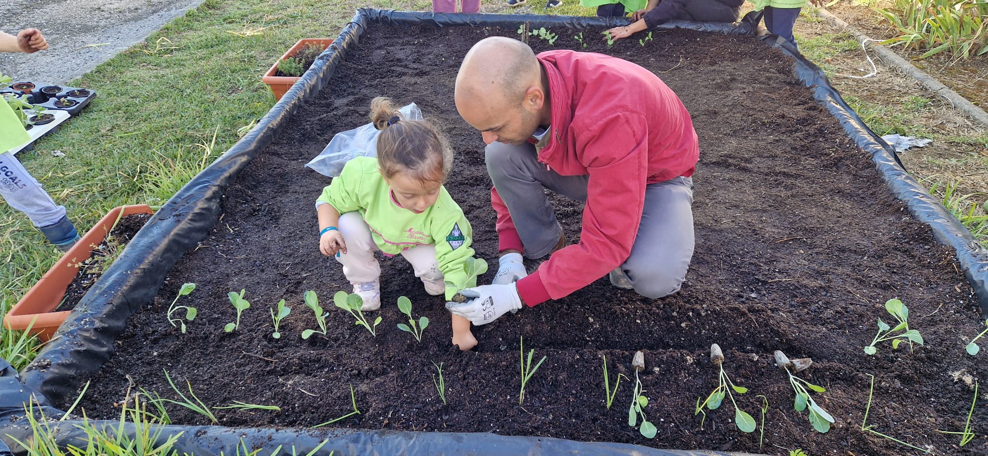 Plantação e transplantação de alguns legumes, frutos, leguminosas e ervas aromáticas com a ajuda das famílias. ( couve portuguesa, cebolo, alface, cenoura, ervilha, fava, salsa, coentros, morangos)