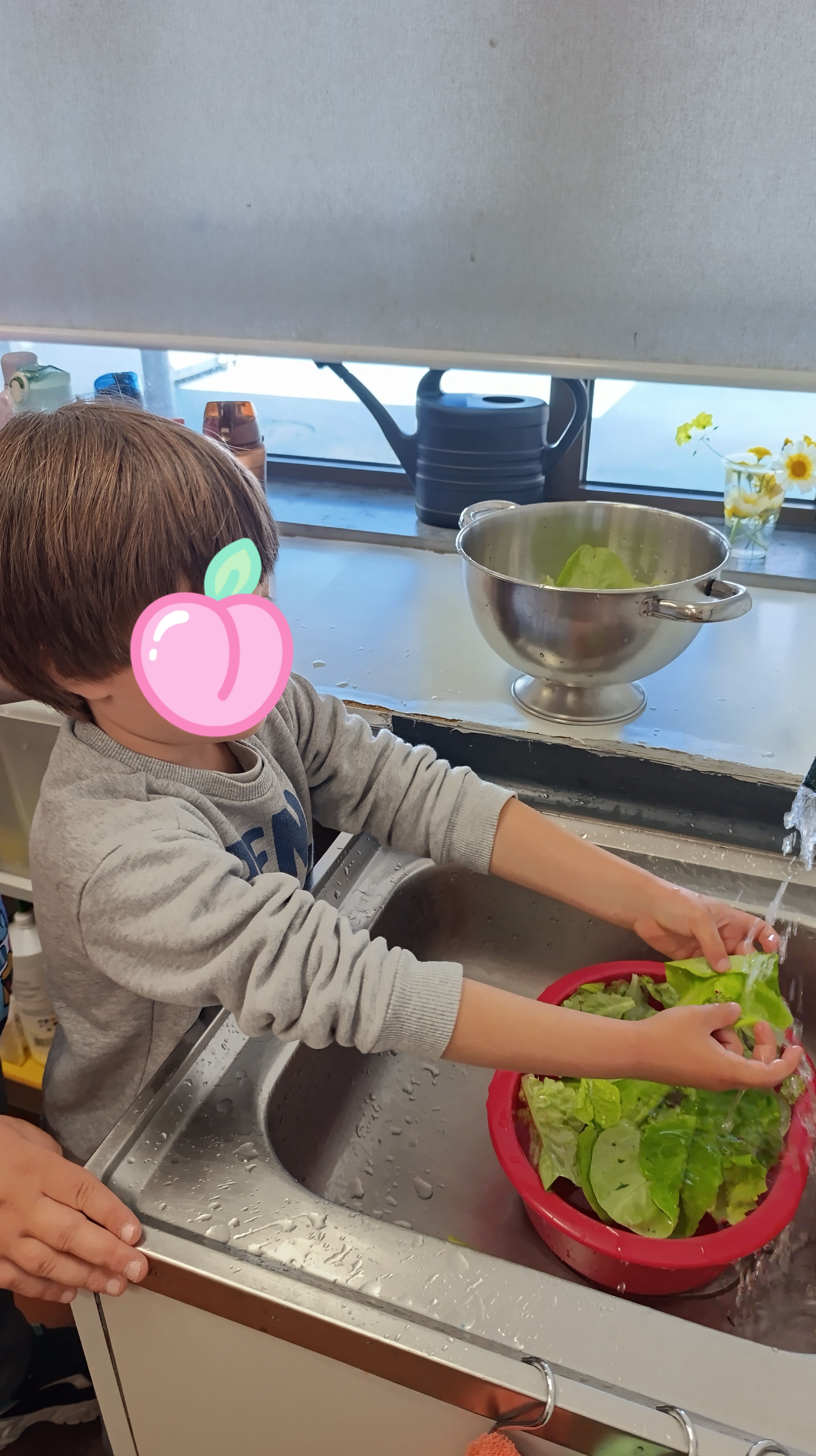"Vamos apanhar, observar e lavar as alfaces"
as crianças depois da apanha das alfaces, observaram e lavaram para comer no seu almoço.