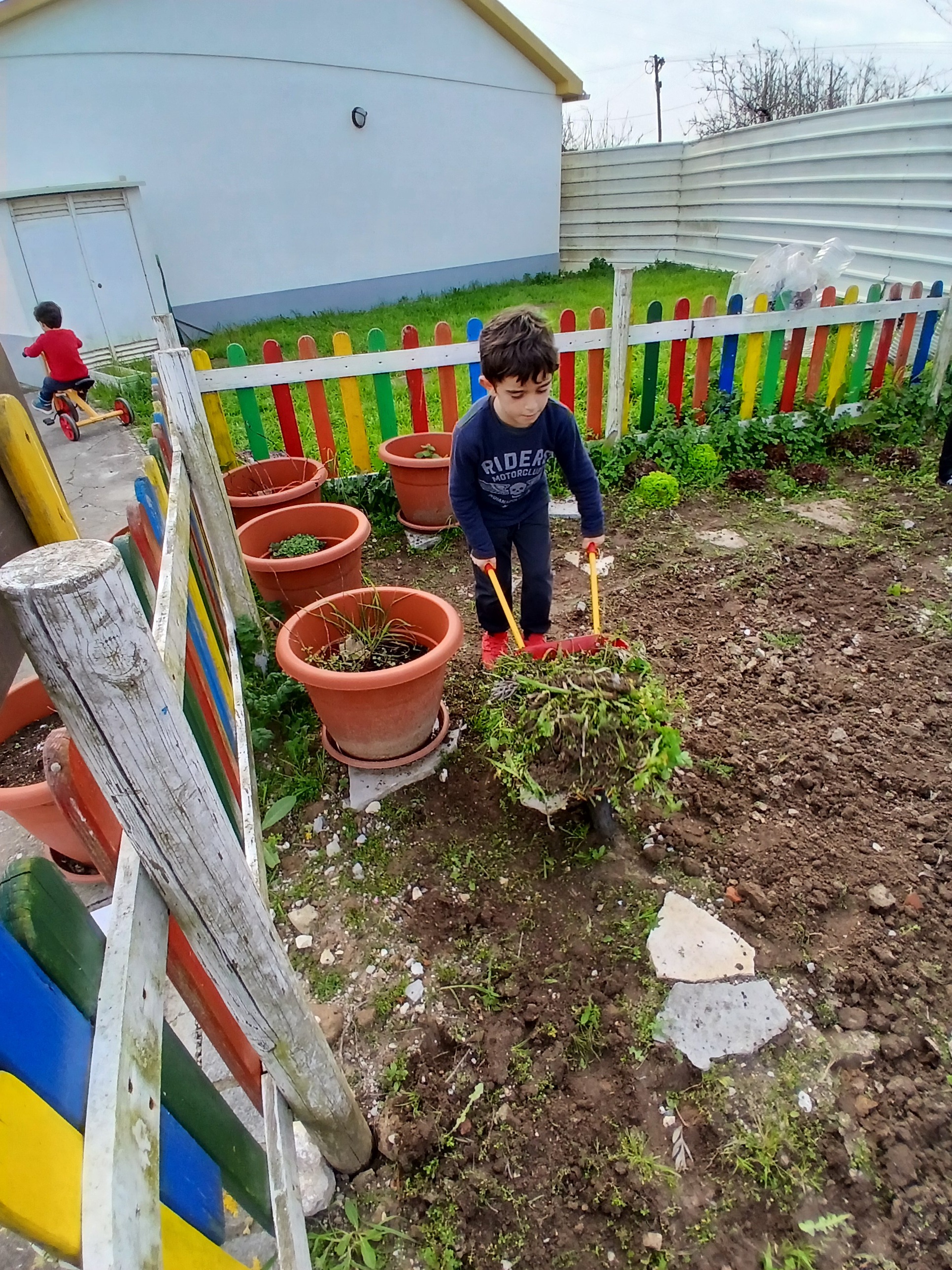 Cada vez que se vai à Horta é necessário perceber que as plantas precisam de ser cuidadas: tirar as ervas daninhas, retirar os caracóis, tirar folhas velhas.